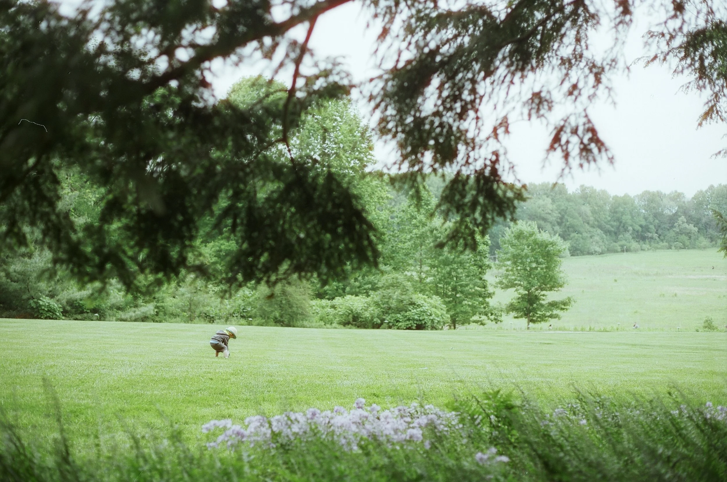 00420024.JPG