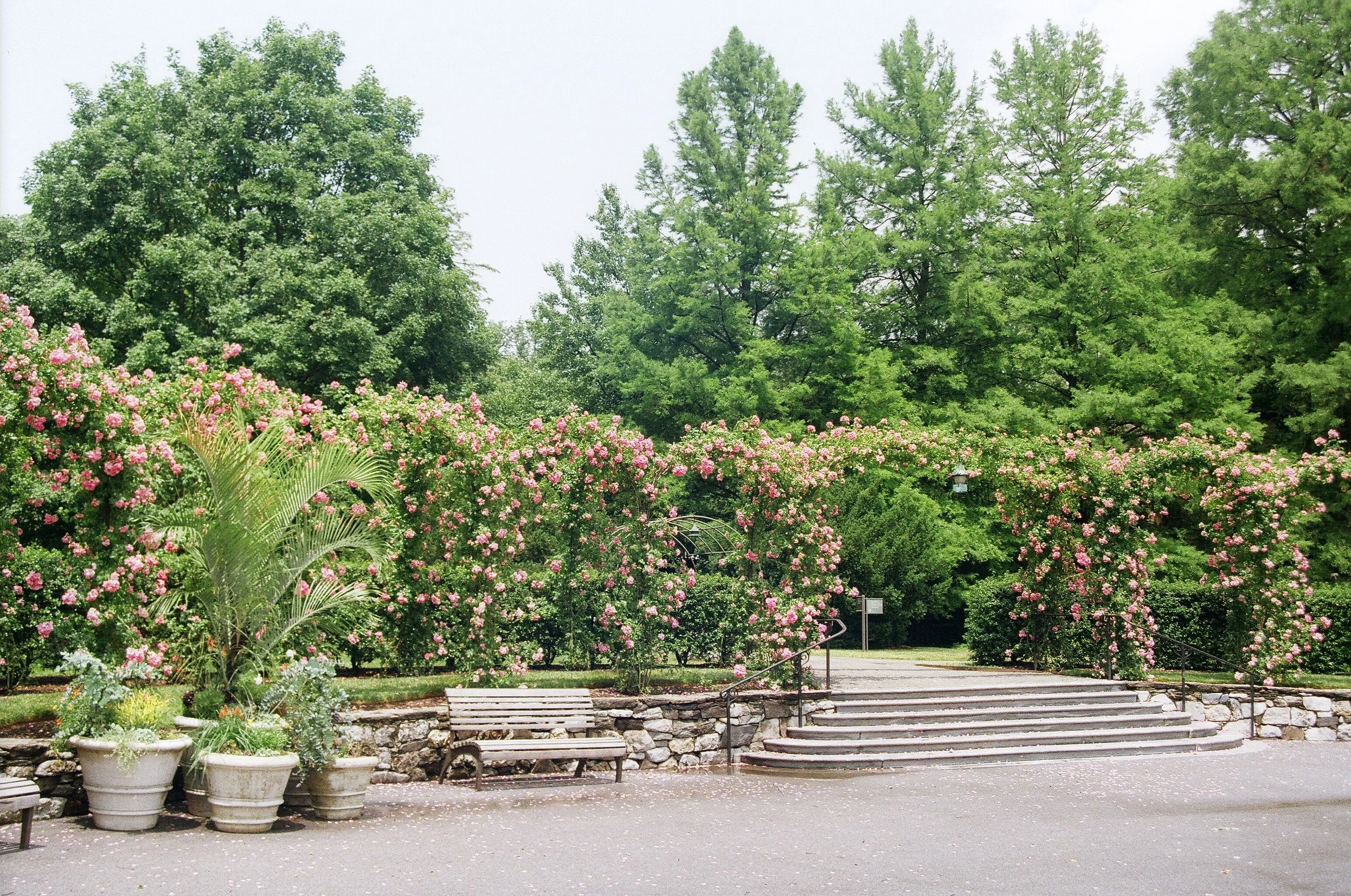 00430023.JPG