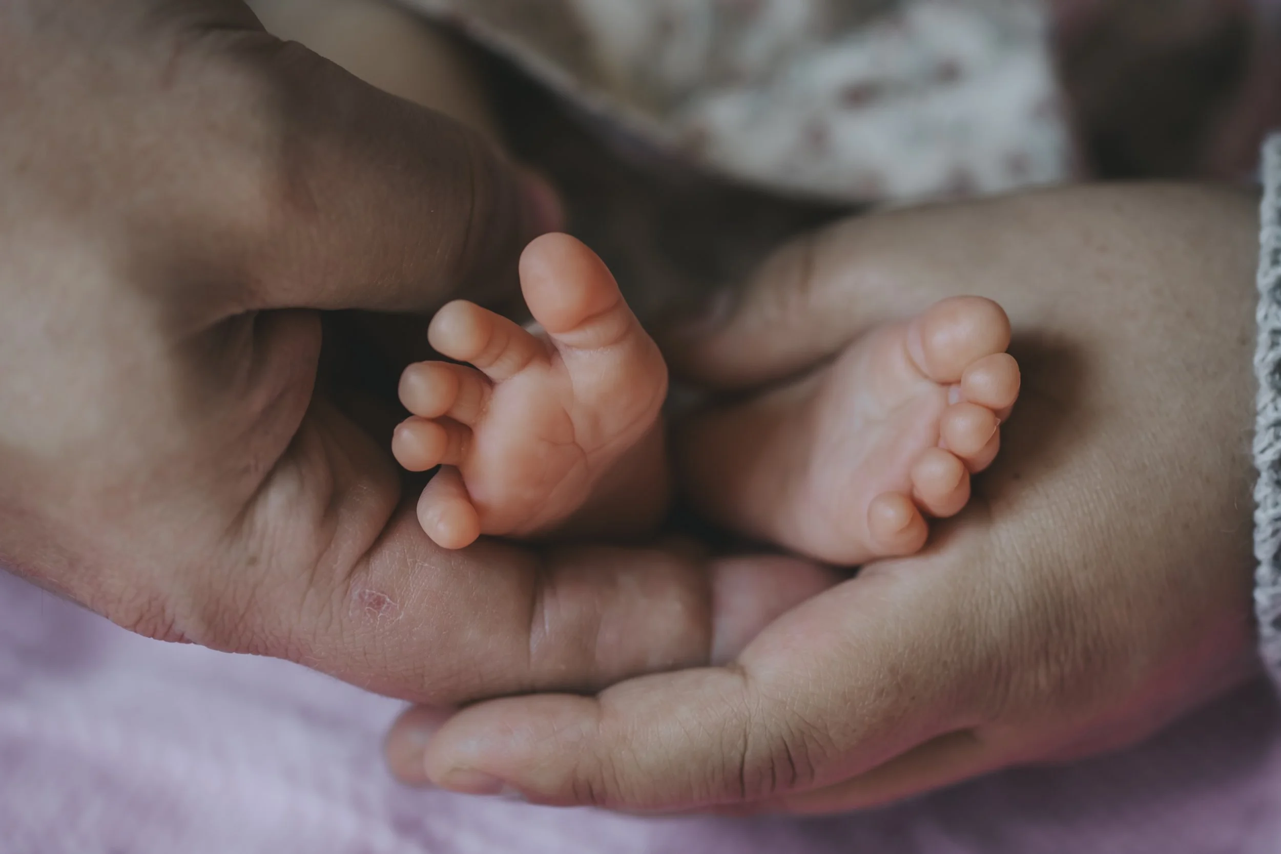 Why I Chose Motherhood Over a Doctorate