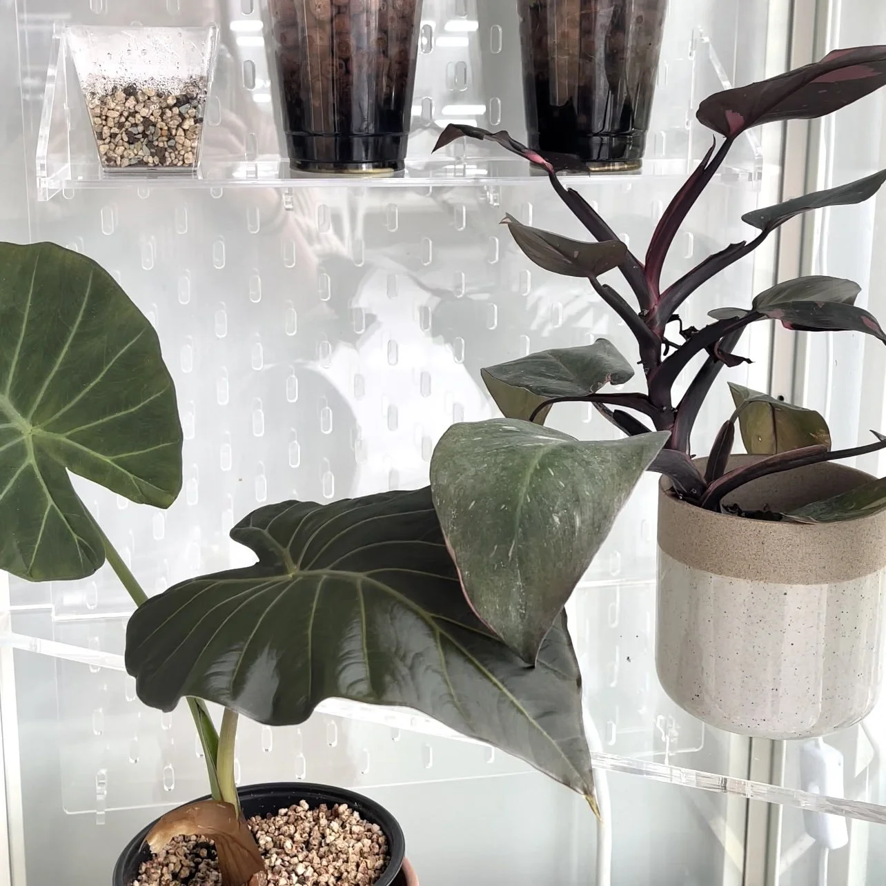 Milsbo Wide Pegboard + Shelf Kit — Modern Aqua