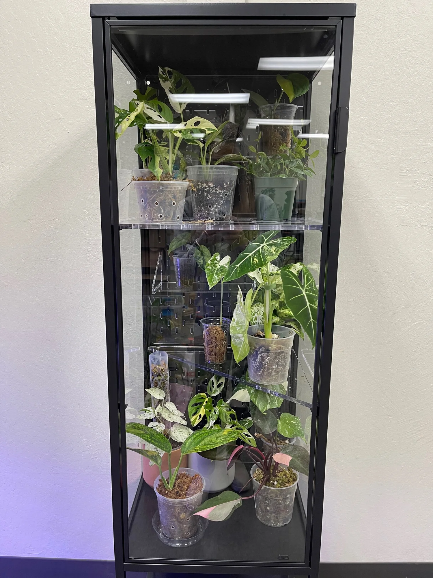 Rudsta Tall - Acrylic Pegboard Accessories for IKEA greenhouse