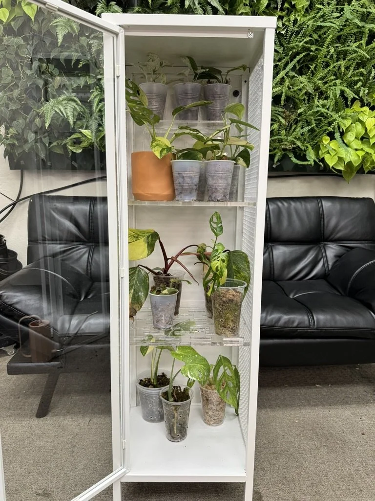 Baggebo IKEA Greenhouse Cabinet Acrylic Pegboard & Shelving by