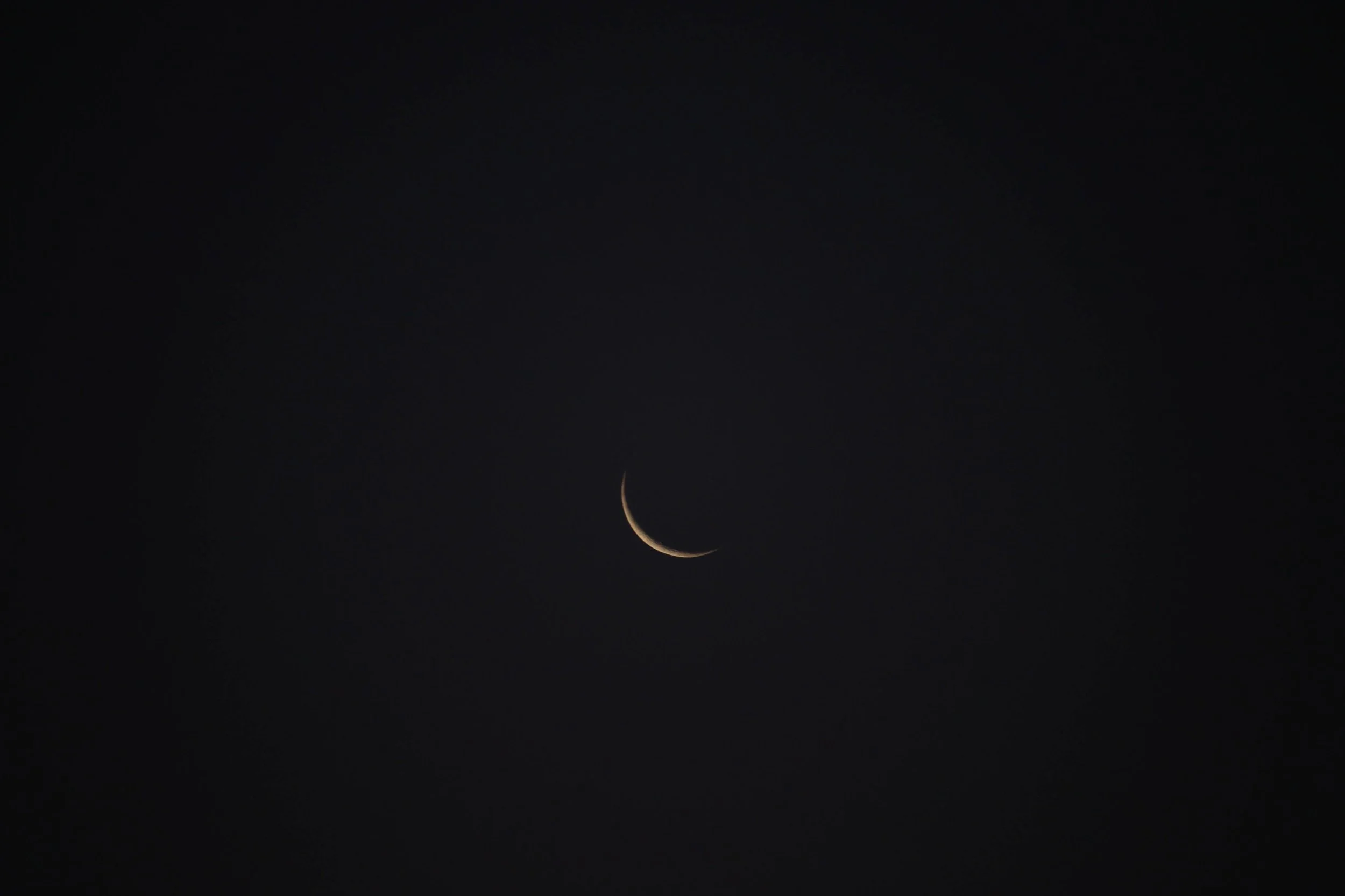 IMG_9896_Original 2.jpg