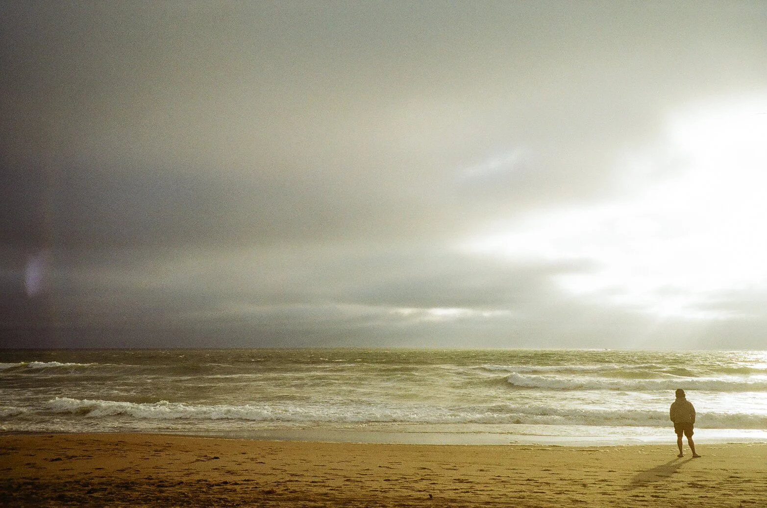 Michelle Sy_Sunset Glow.jpg