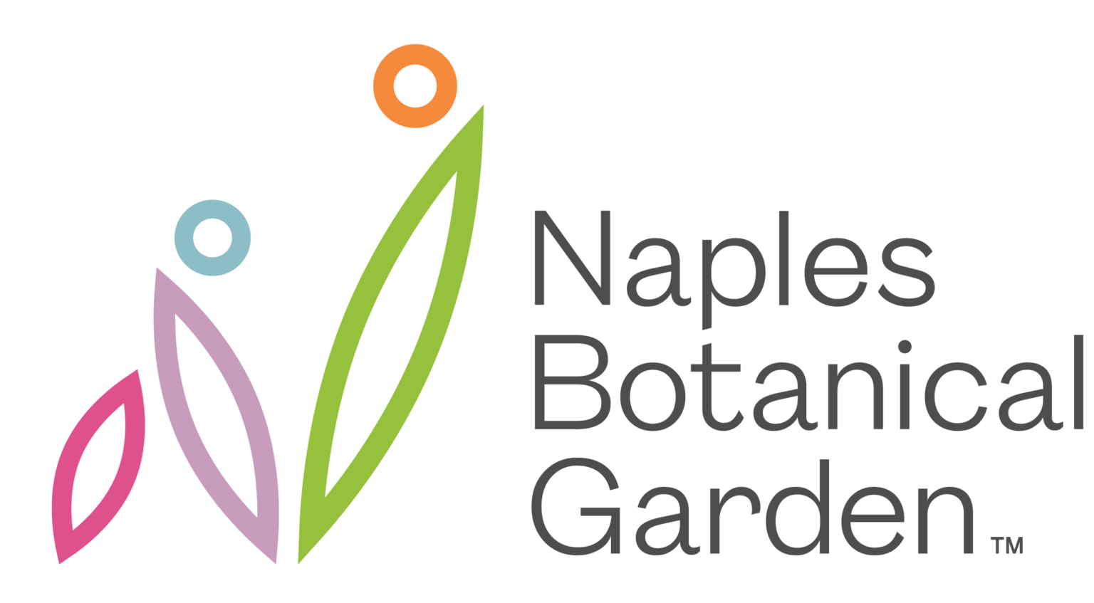 cropped-nbg-signature-01-1536x847.png