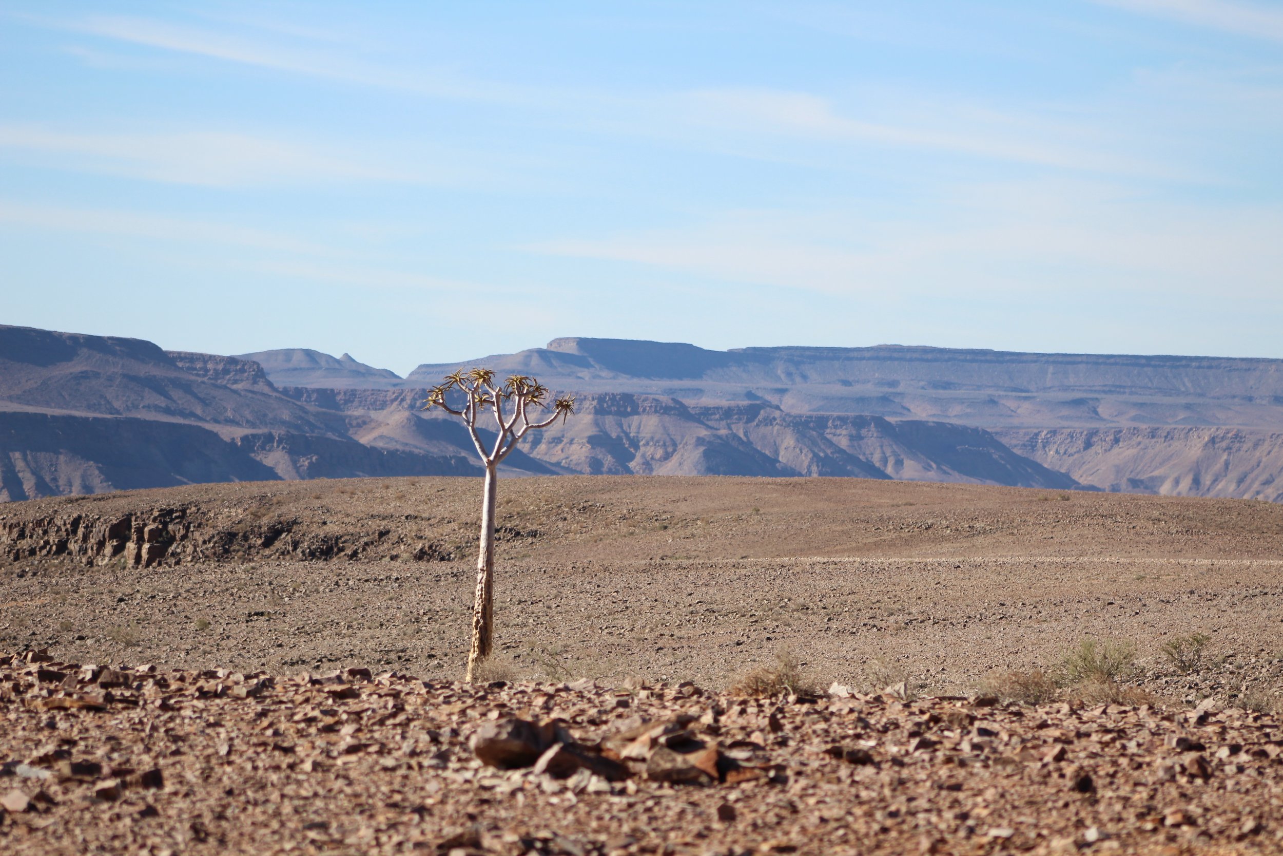   A photo I took somewhere in the Namibian desert  