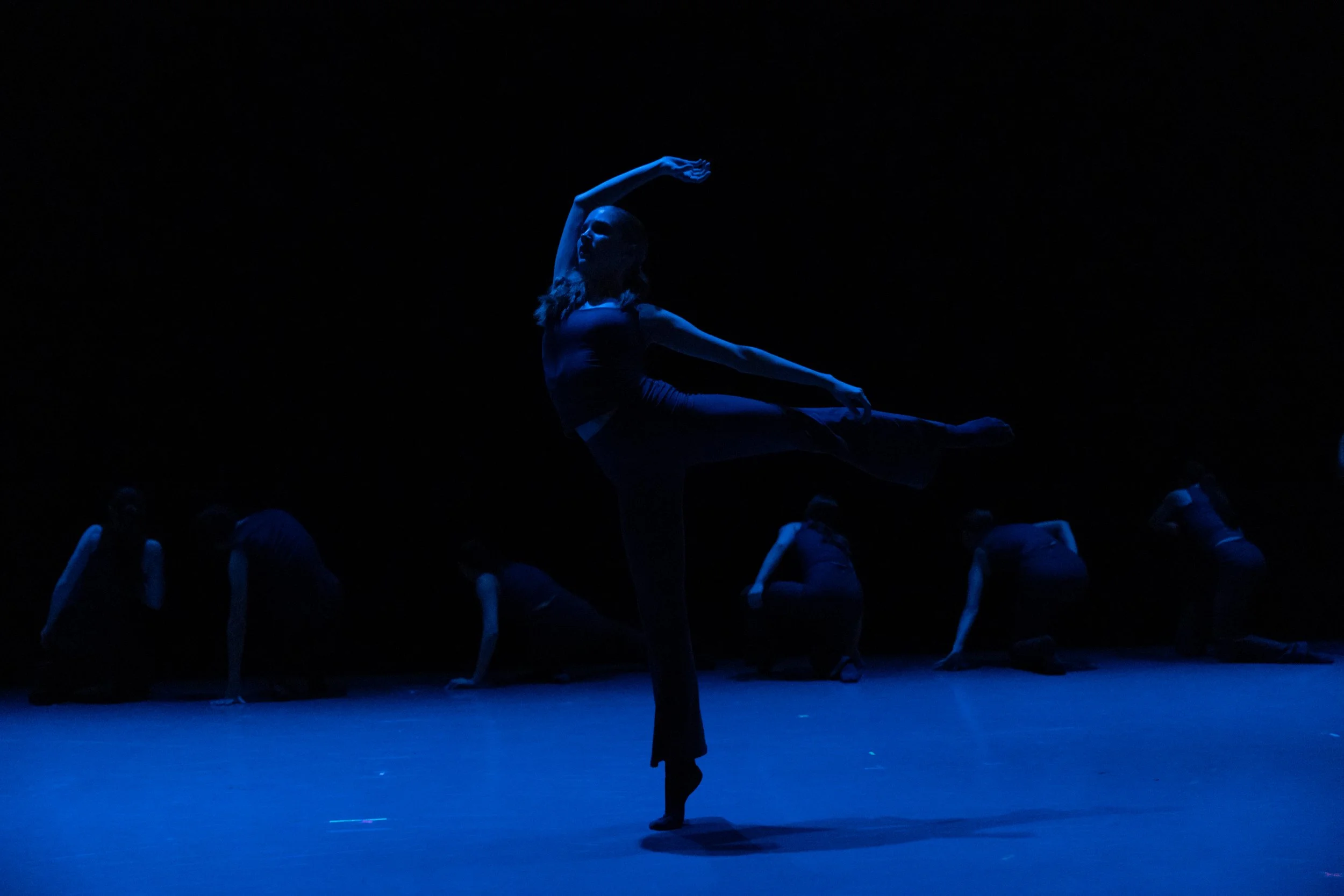 BDP35129KCYB Fall 2.jpeg