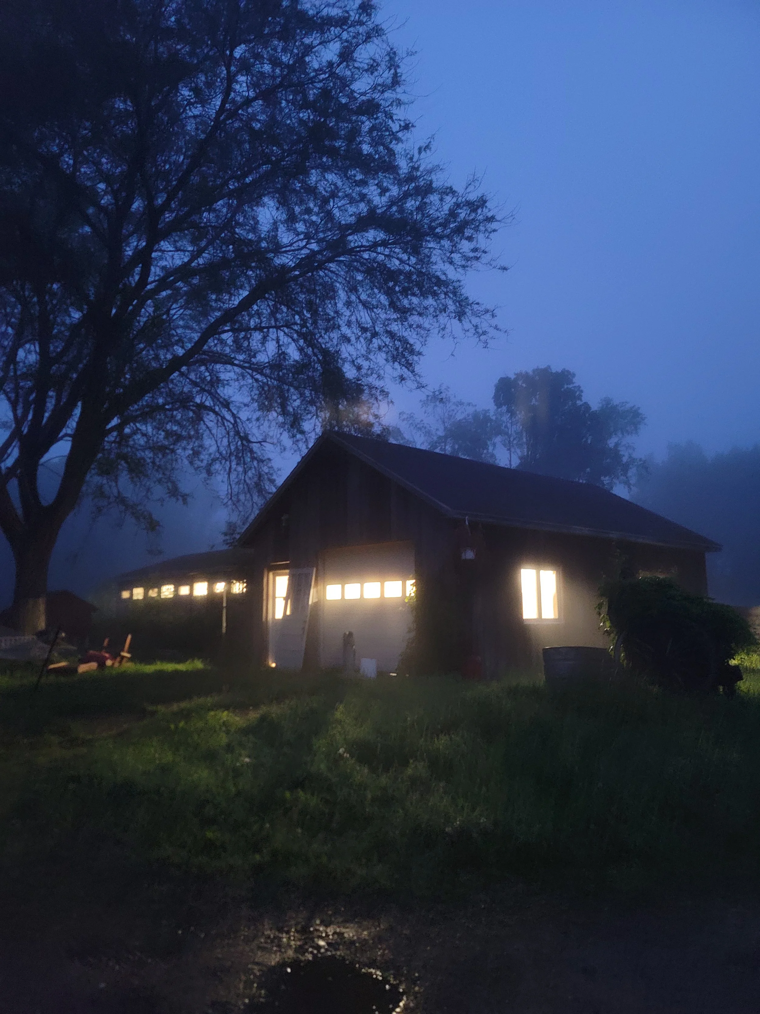 A rustic house with lit windows at dusk, surrounded by trees and grass, with a misty blue sky.