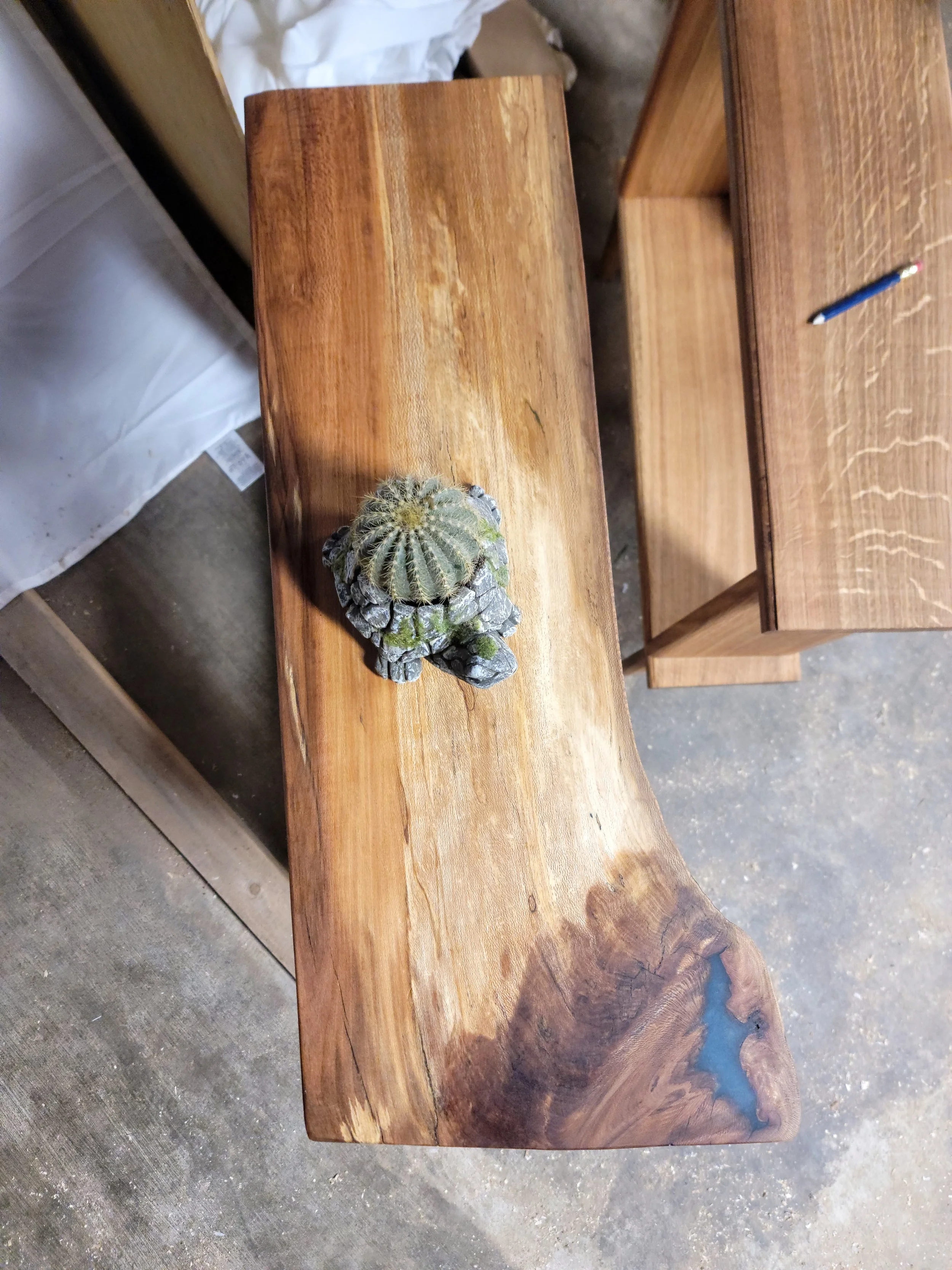 A small round cactus with spines sitting on a natural wood table with a rock decoration at the base of the cactus.