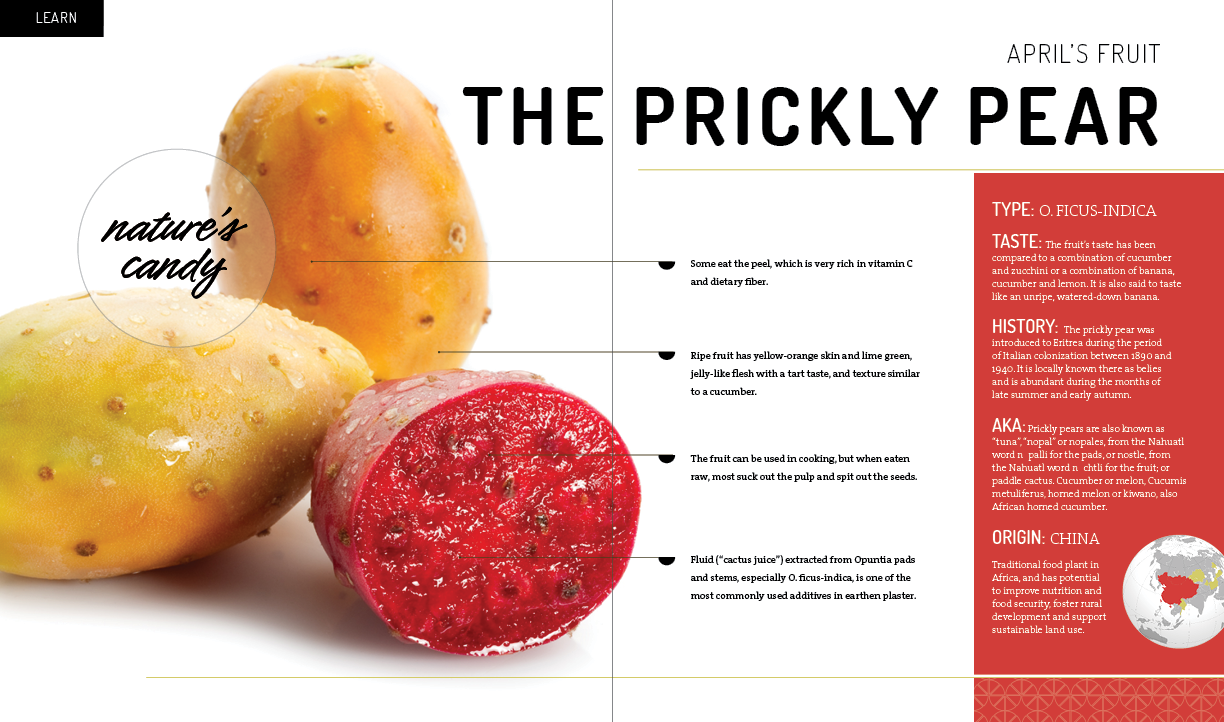 JACKFRUIT folderfolder7.png