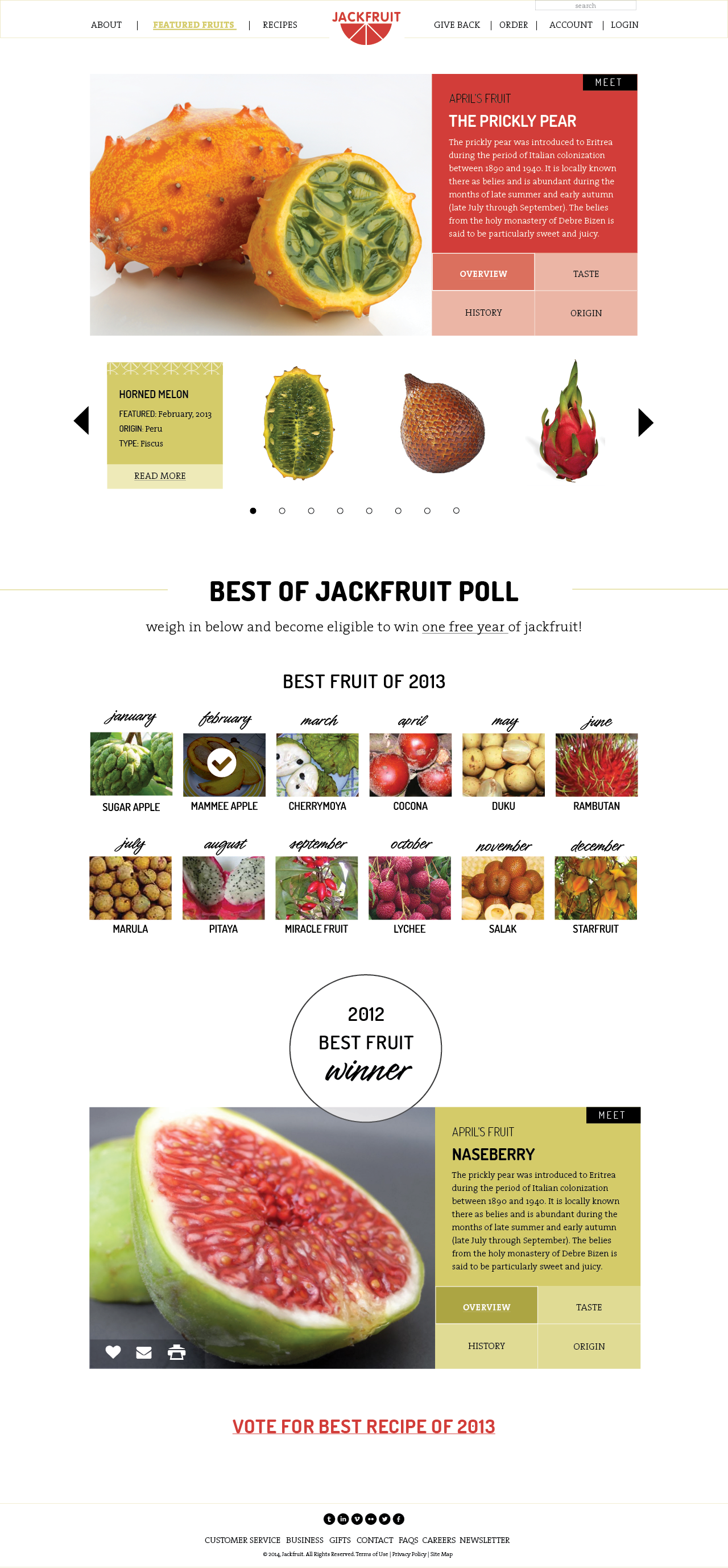 JACKFRUIT folder2.png