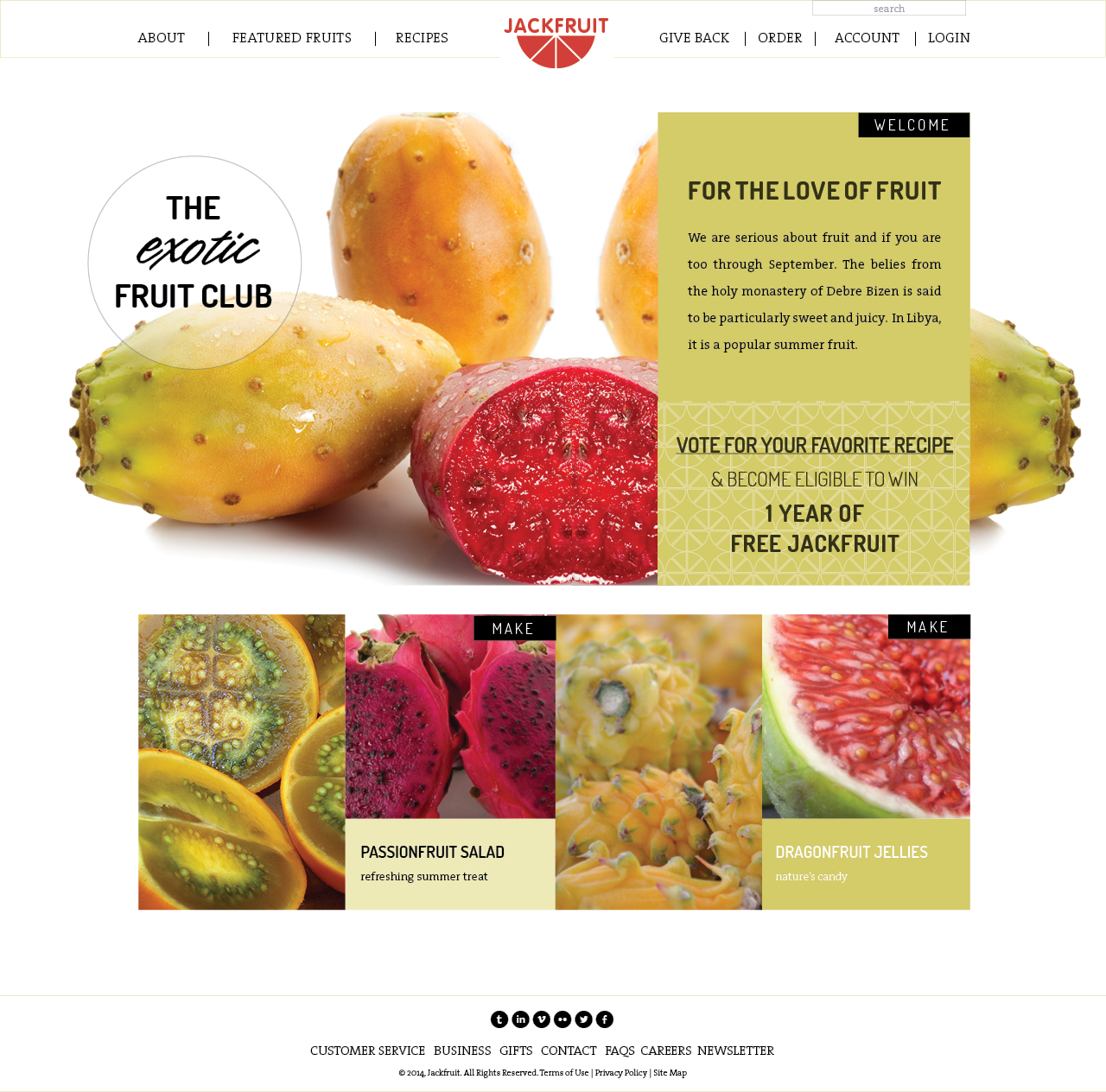 JACKFRUIT folder.png