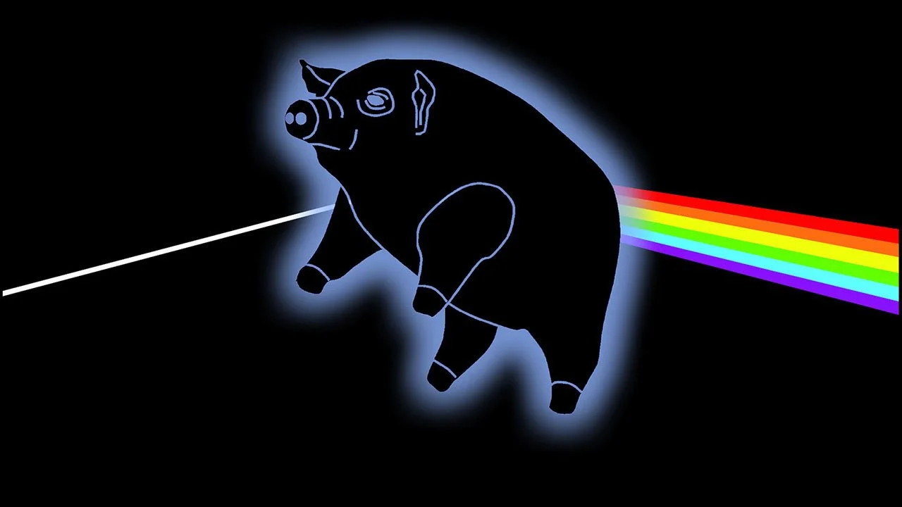 Live Music: Pigs on the Wing
