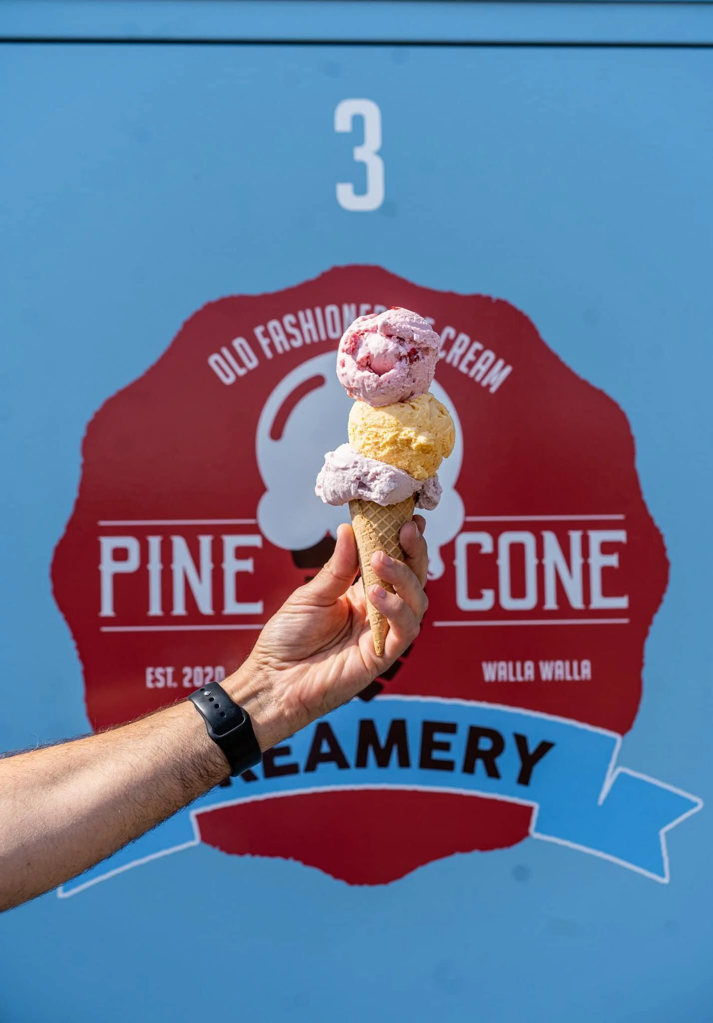 Pine Cone Creamery
