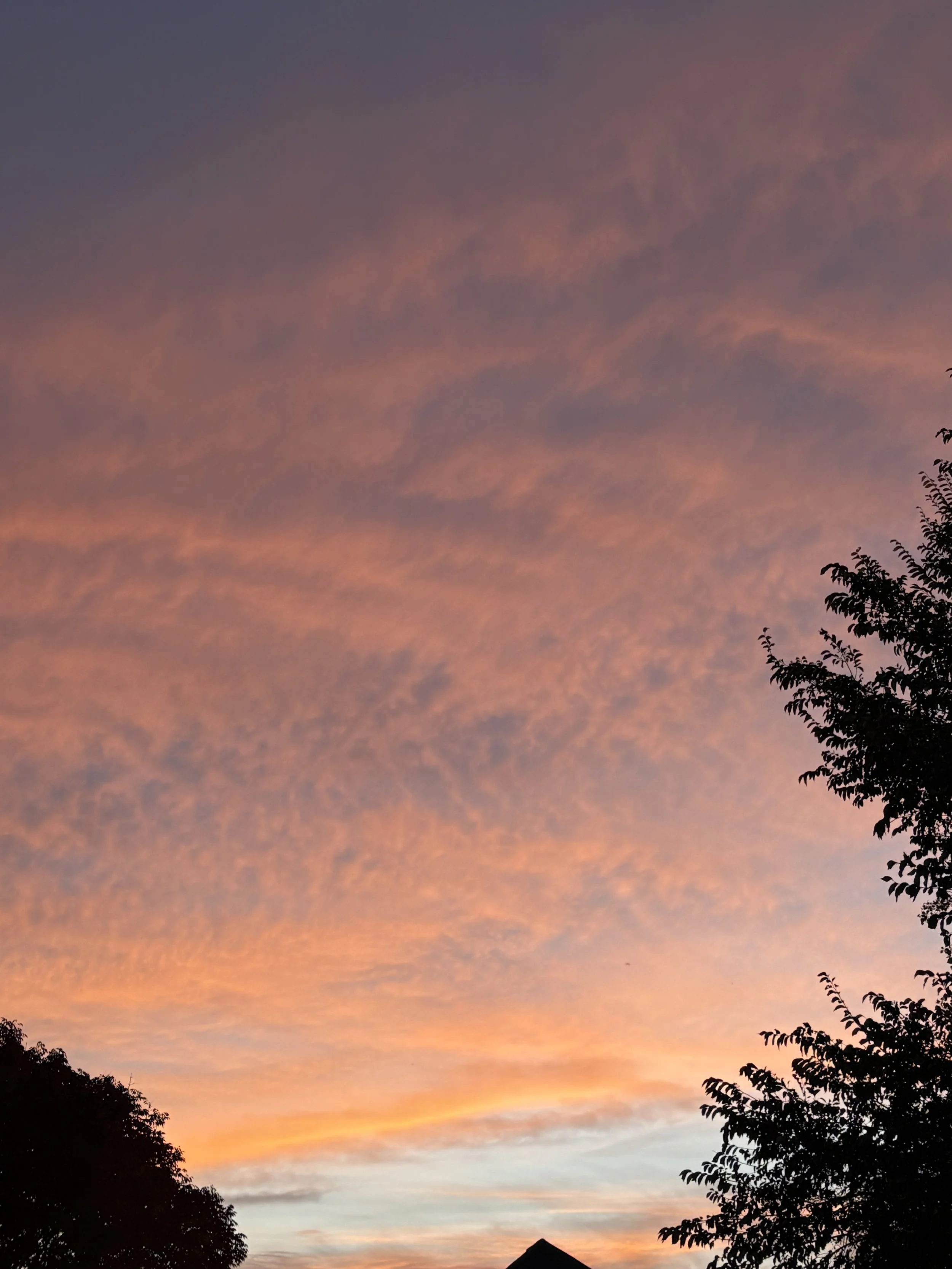 Workshop: Take Better Photos With Your Phone