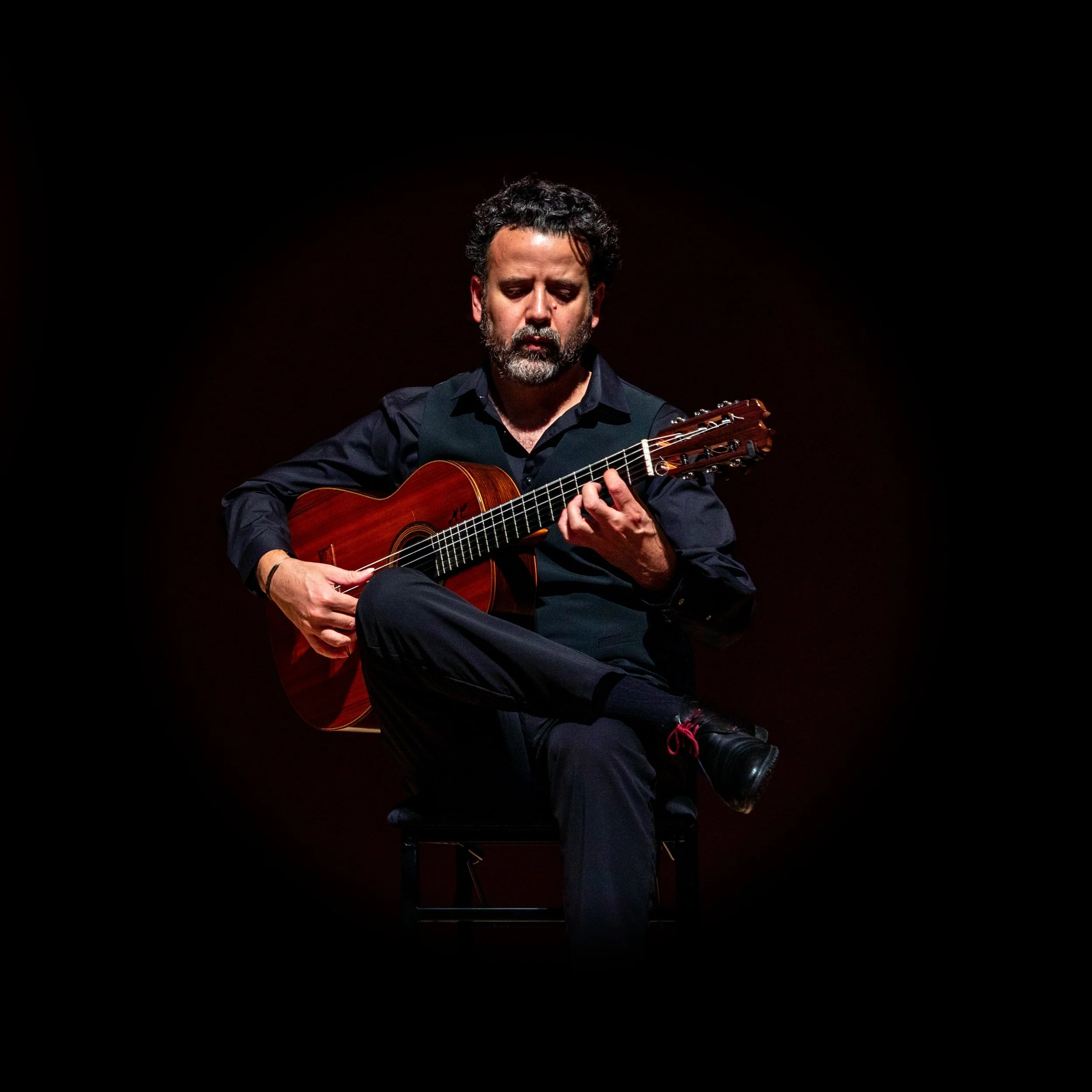La Guitarra Flamenca de Gustavo Alonso López