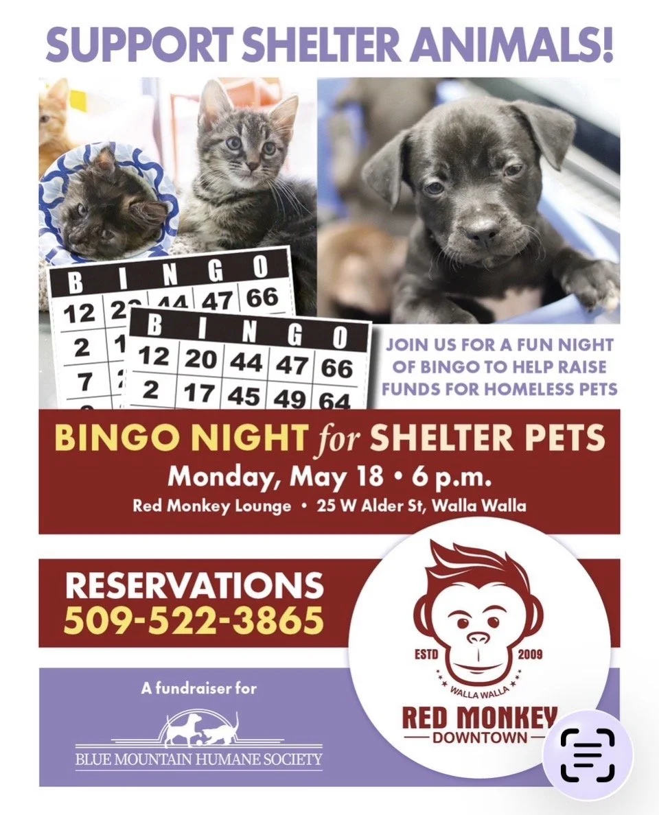 Bingo for Shelter Pets