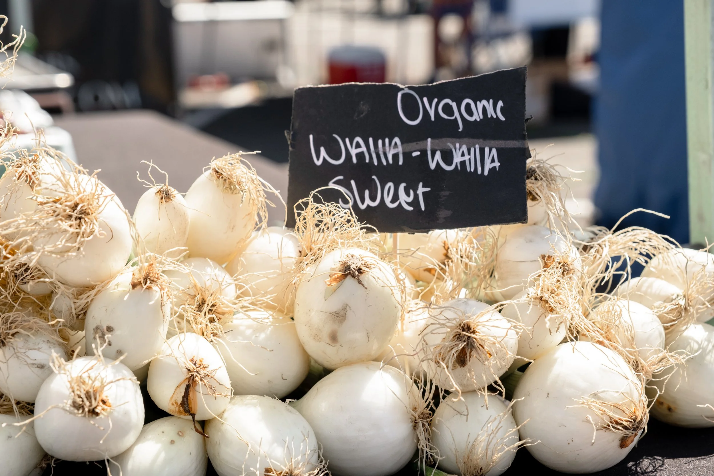 Junior Farmers Market Member