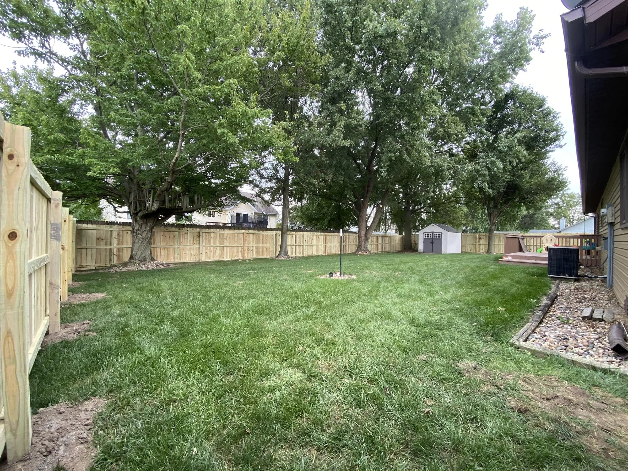 Backyard with green grass, large trees, a fenced yard, a small shed, and a decorative rock border near the house.
