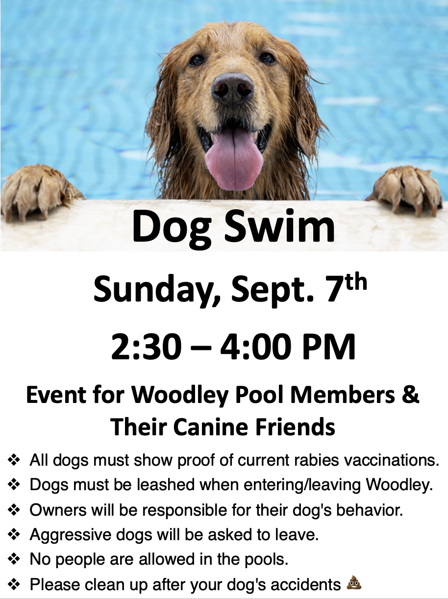 Dog Swim