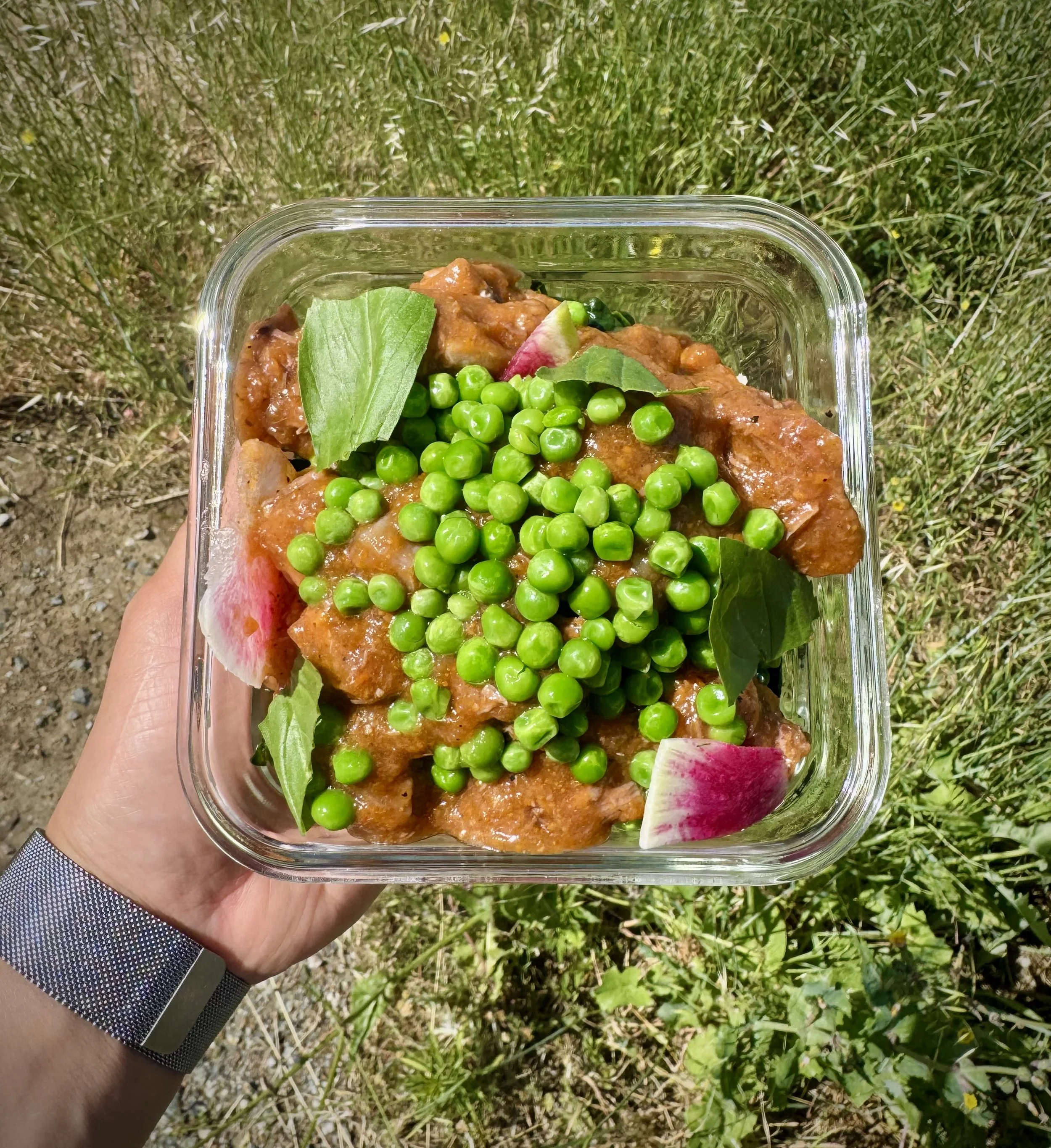 Alab SF – Organic, Gluten-Free, Dairy-Free Meal Delivery in the Bay Area.  Looking for clean, chef-made meals delivered to your doorstep? Alab SF is your trusted organic meal delivery service specializing in gluten-free, dairy-free, and refined sugar