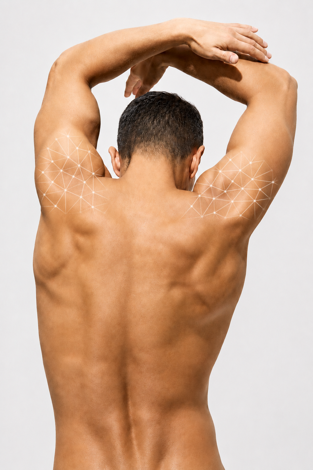 Male - Shoulders.png