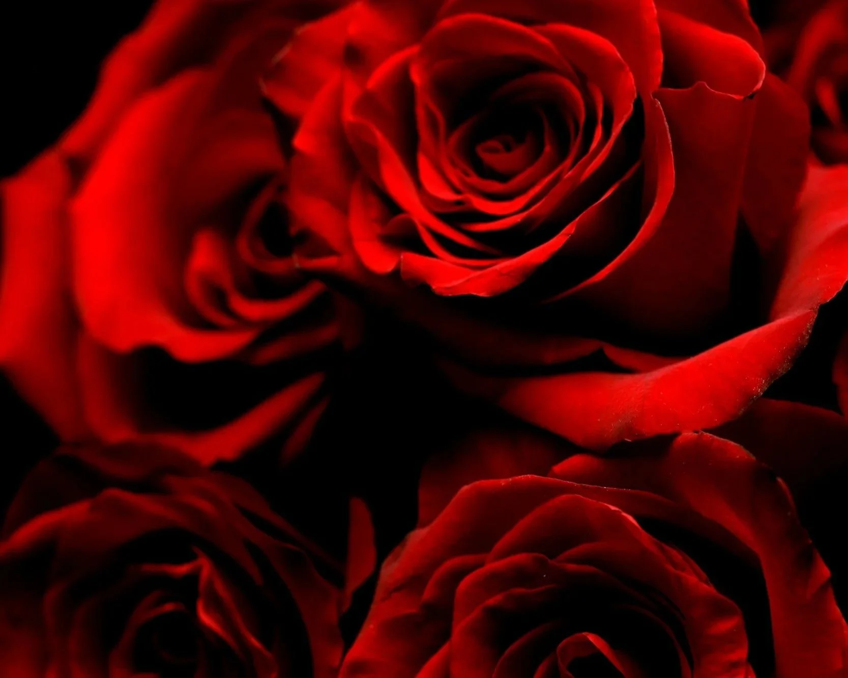 Happy Valentine’s Day!