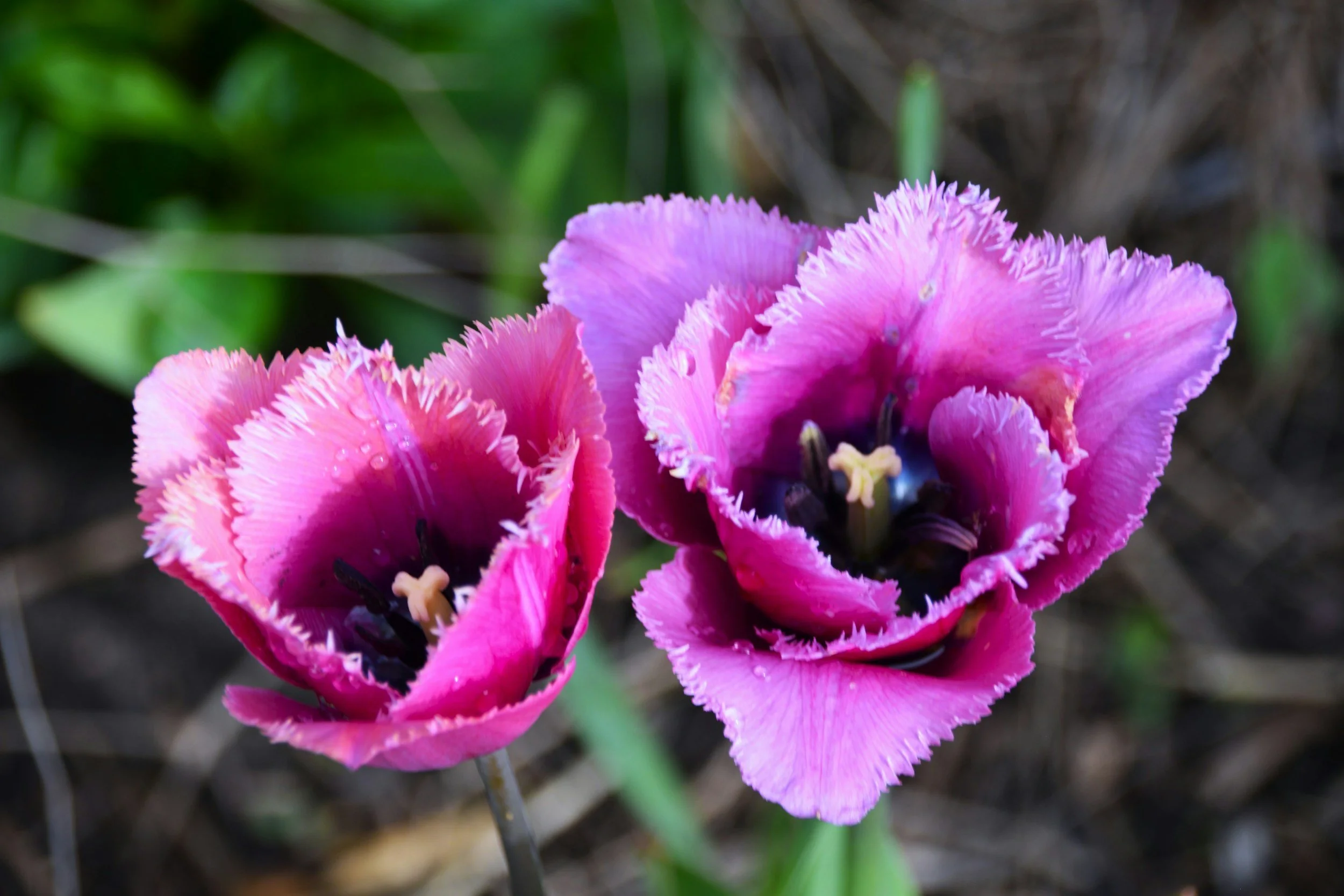 What Is A Healthy Relationship?