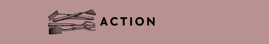 Make a Difference in the Lives of LGBTQIA+ Incarcerated People