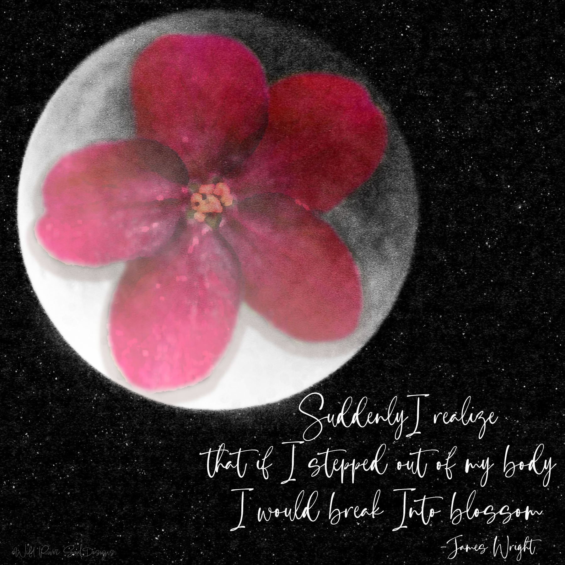 Full Flower Moon