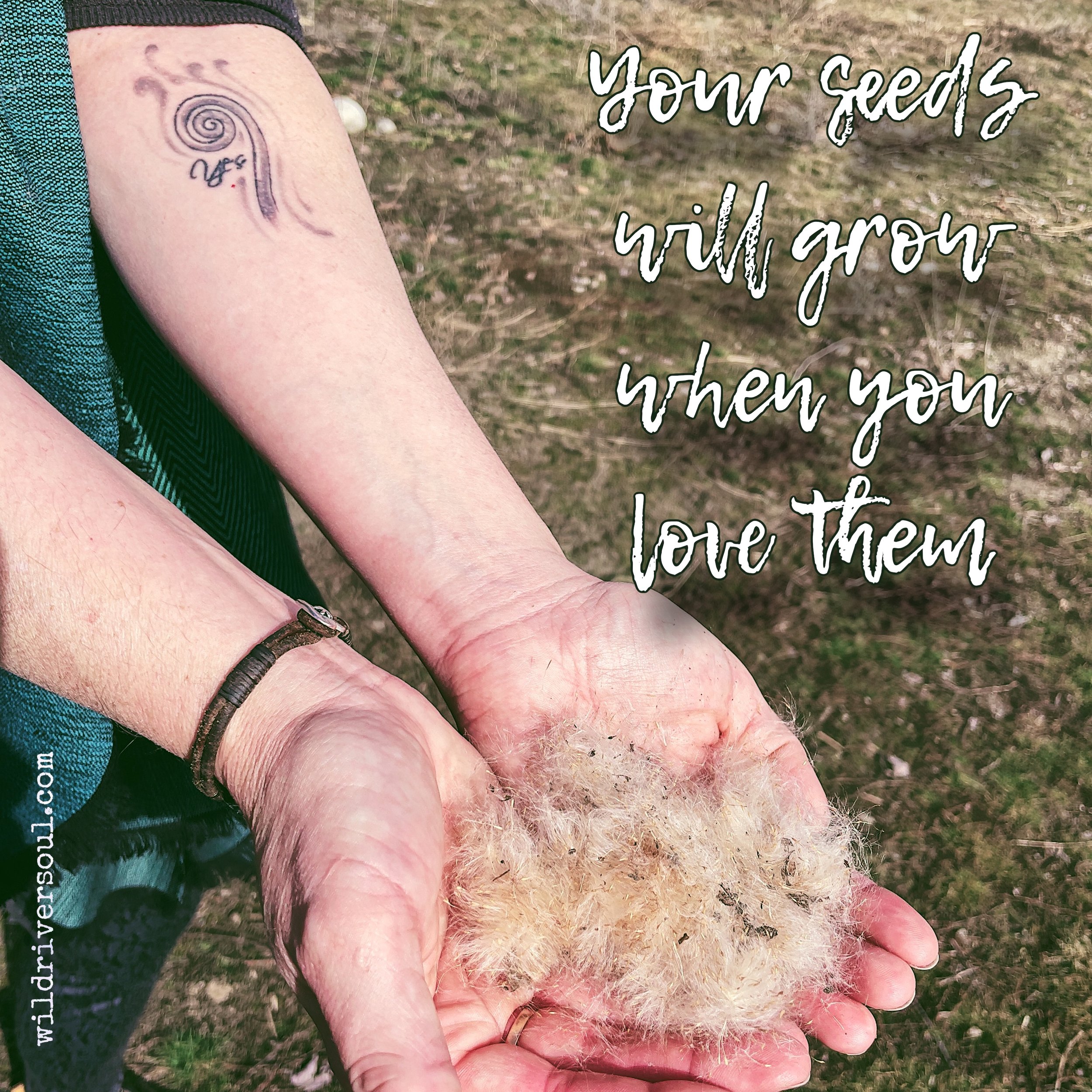Planting Seeds