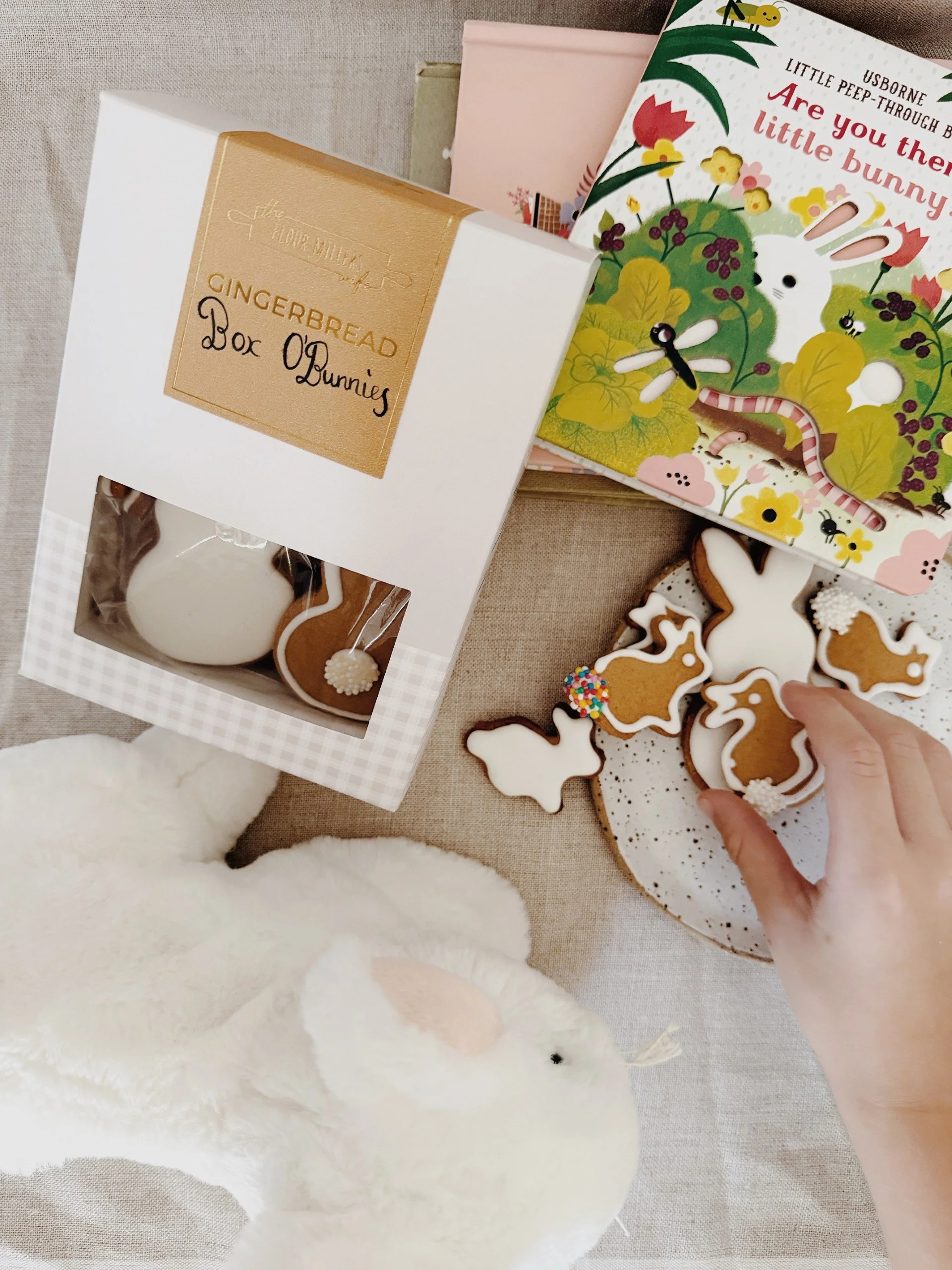 box o bunnies 26.jpg