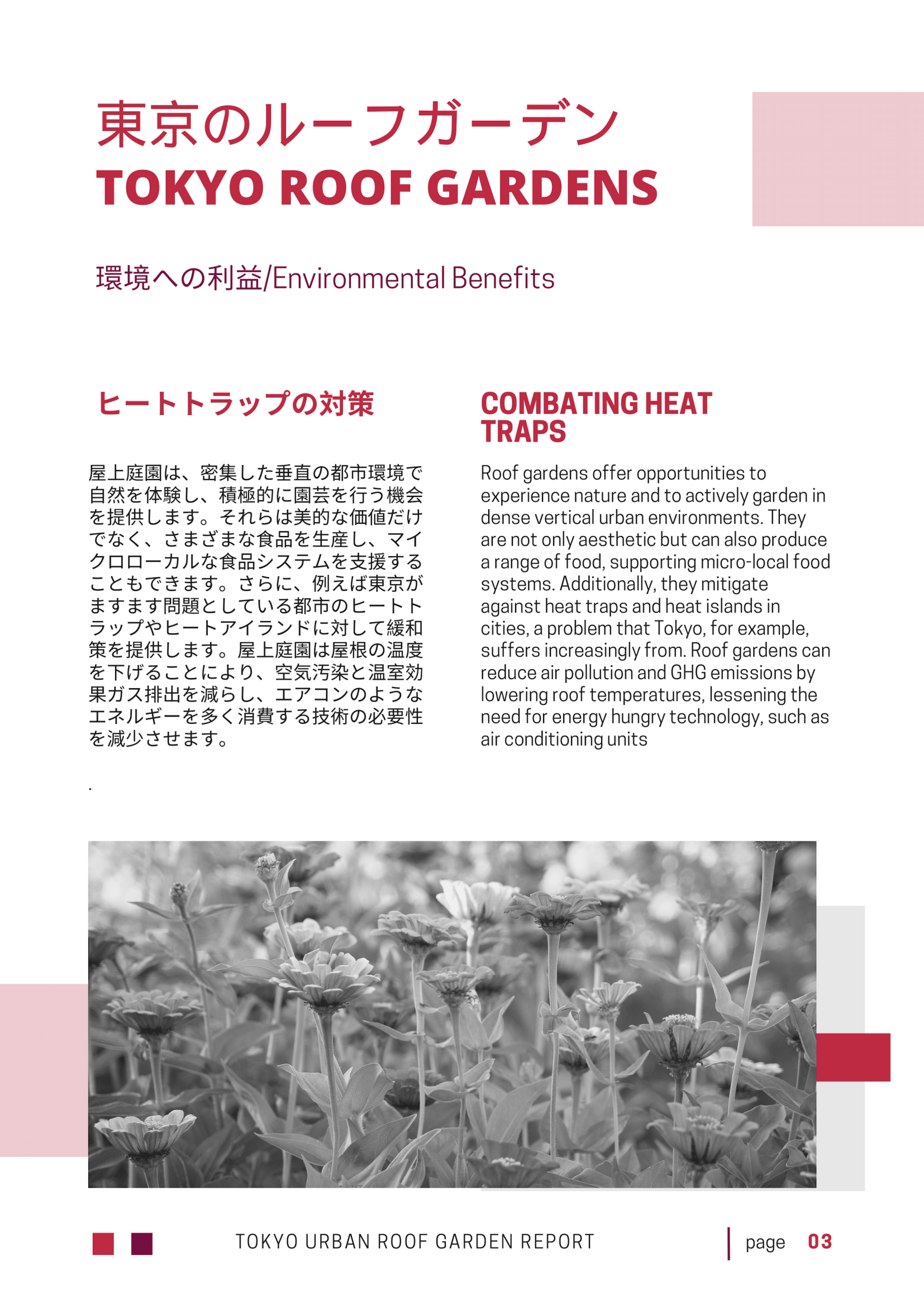 USI_Tokyo_Roof_Garden_Report_2024 - Print Copy-03.png