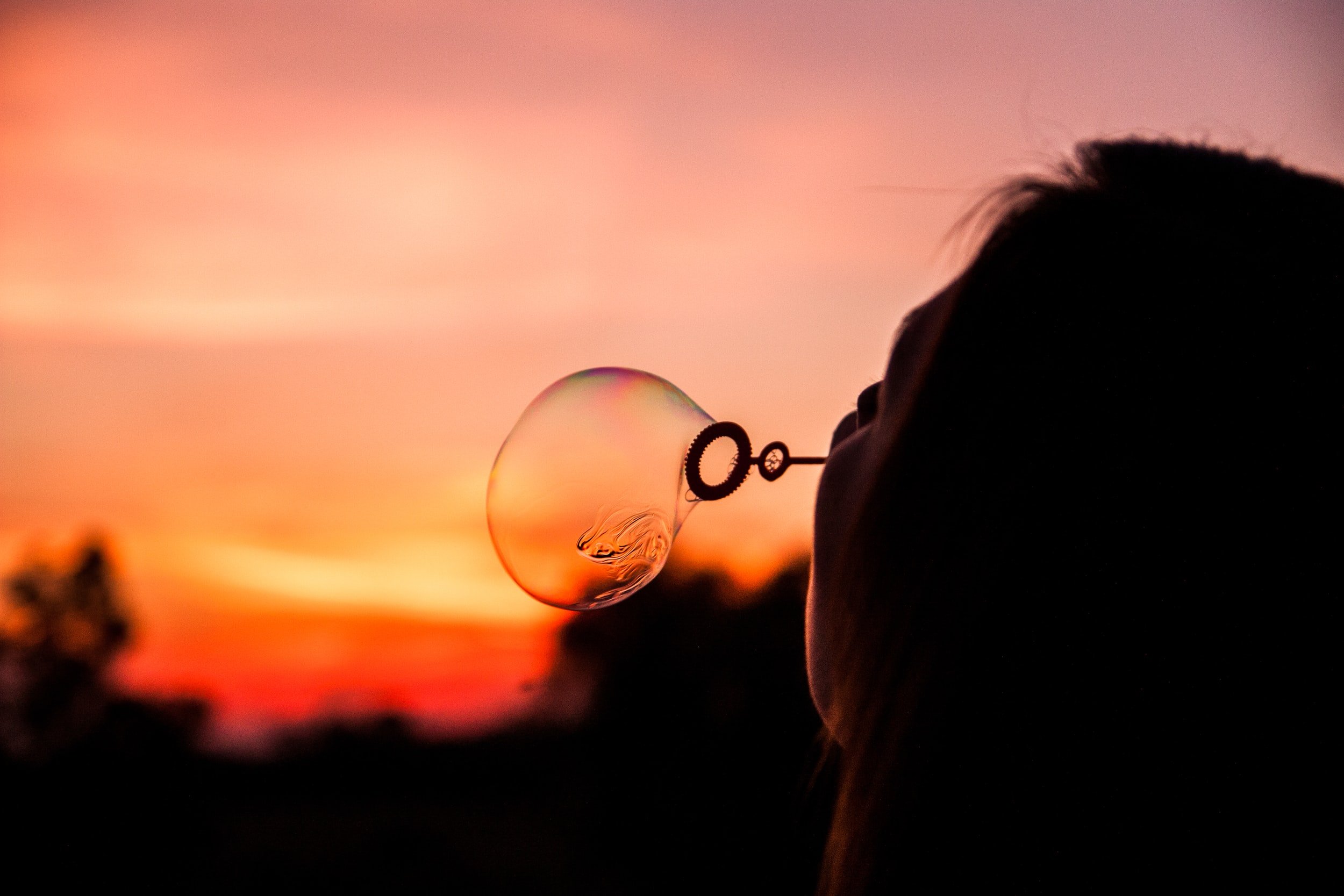 Asset Bubbles