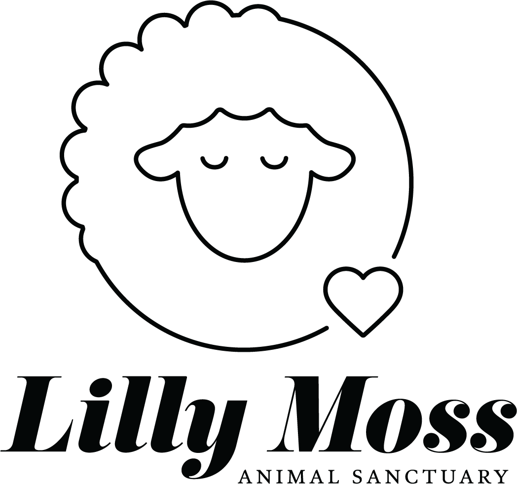 Lilly Moss Animal Sanctuary