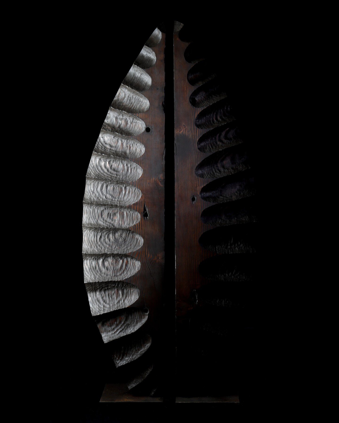Leaf
2021
Pseudotsuga Menziessi (Oregon) &amp; Mild Steel
177cm x 78cm x 24cm
https://www.lucasguilbert.com/sculptures/leaf

#reclaimed #timber #wood #madera #bois #texture #motif #pattern #naturalaart #artfromnature #upcycledart #art #sculpture #woo