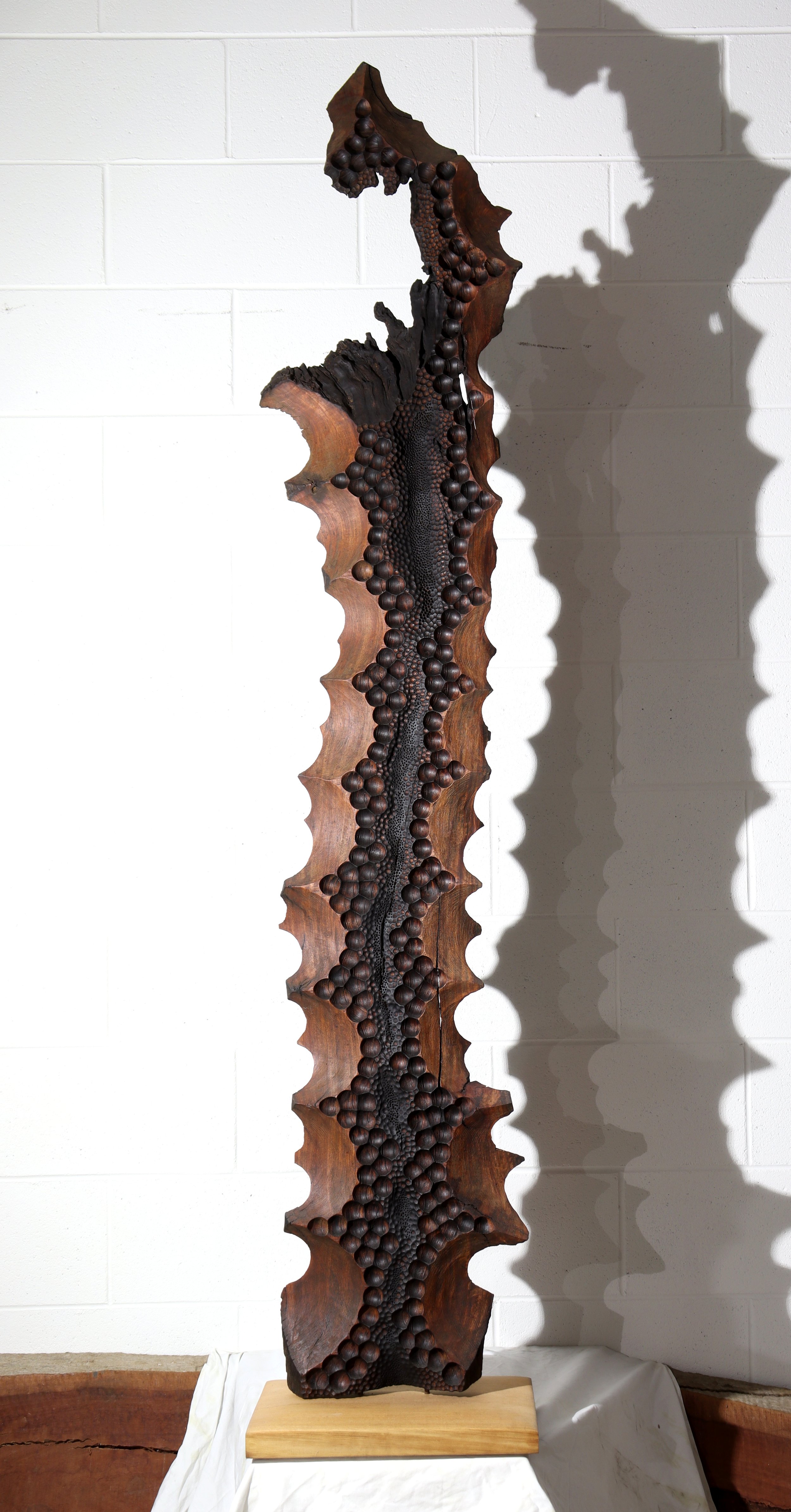 Trypo - fULL WHITE BKGRND.JPG