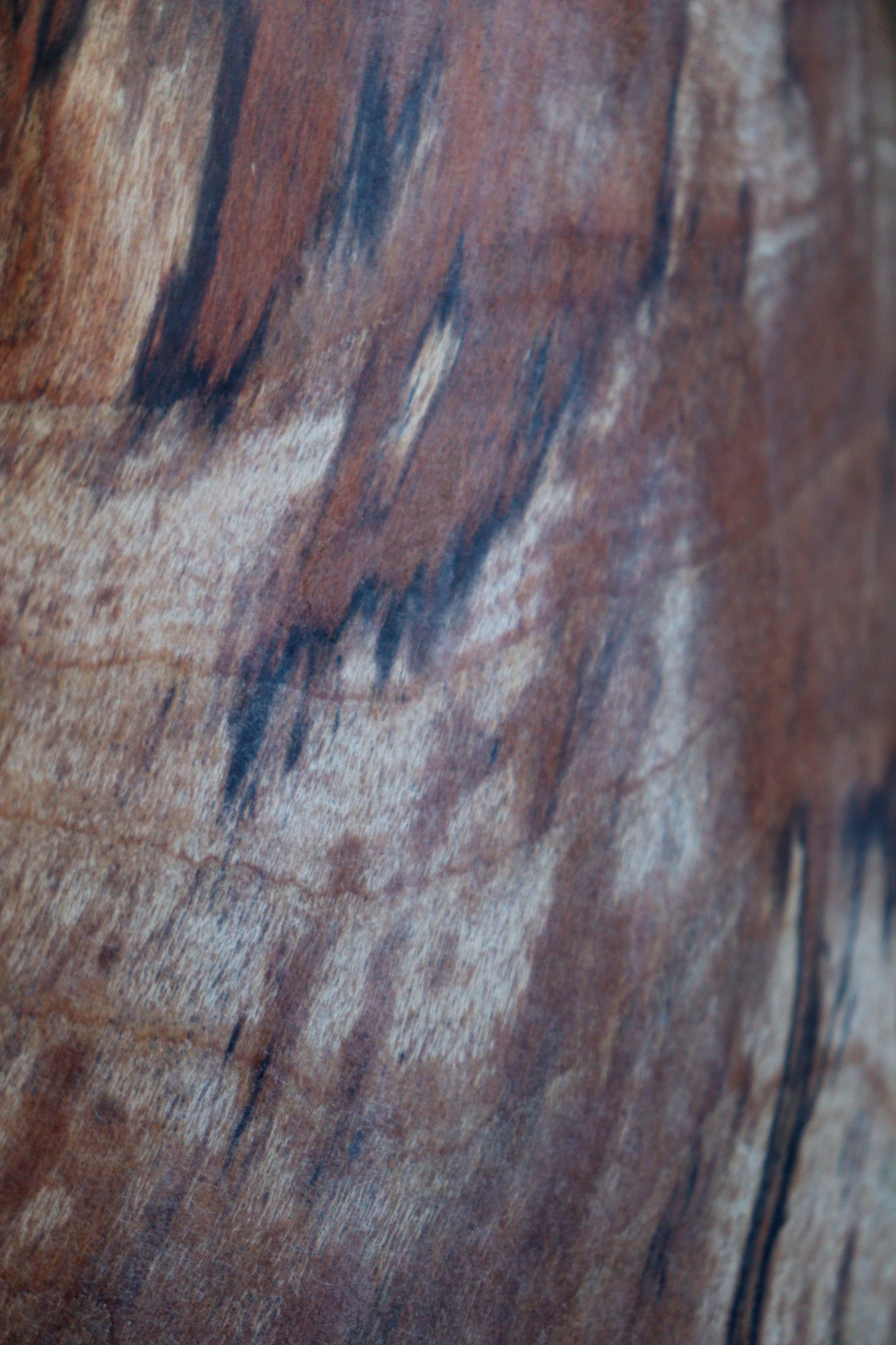 Stilla Black - Detail 2.JPG