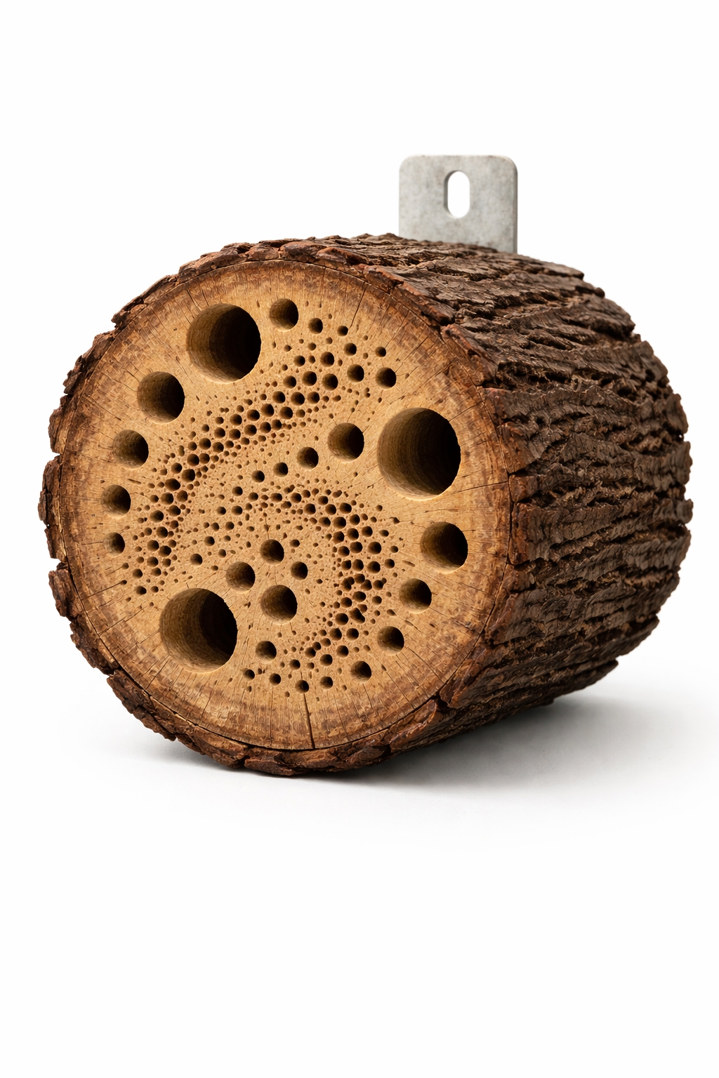 Big Hotel australian hardwood.png