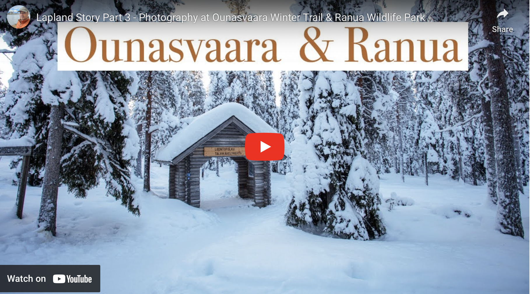Lapland Story Part 3 - Photography at Ounasvaara Winter Trail &amp; Ranua Wildlife Park