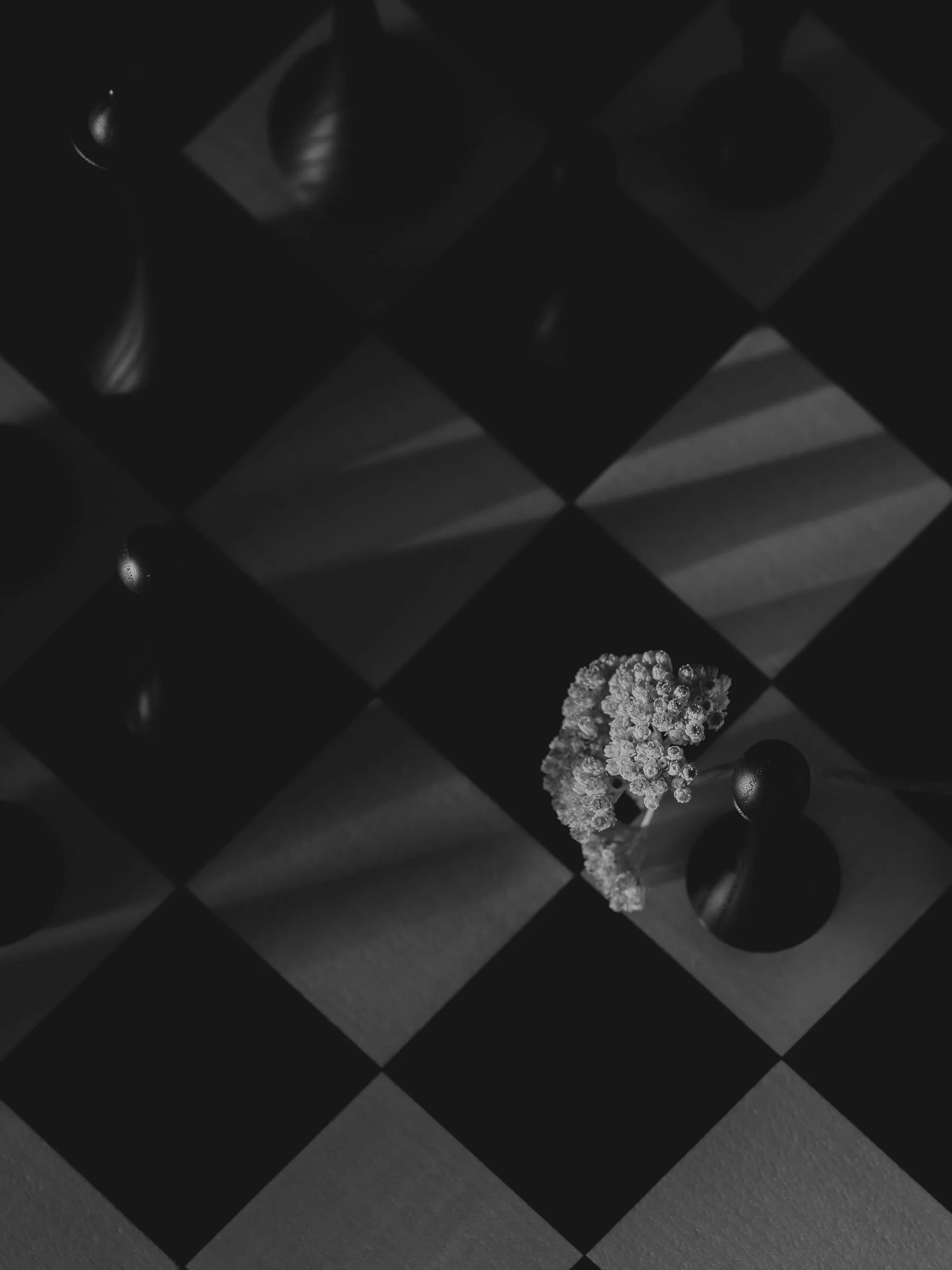 26_08_18 - Chess -digital -FG 16.jpg