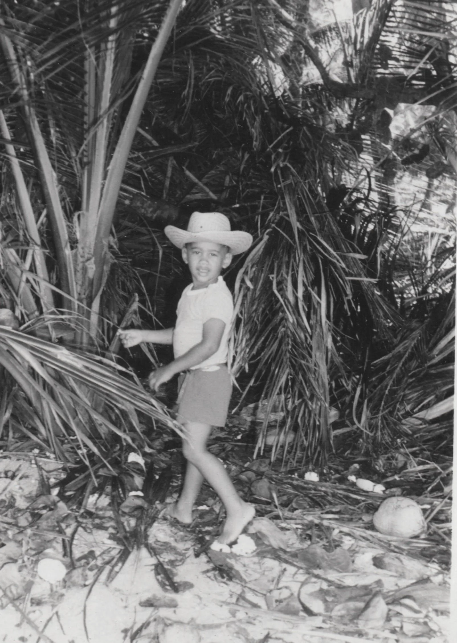 A Fine Day For Straw Hats, Louis Simpson. p. 202