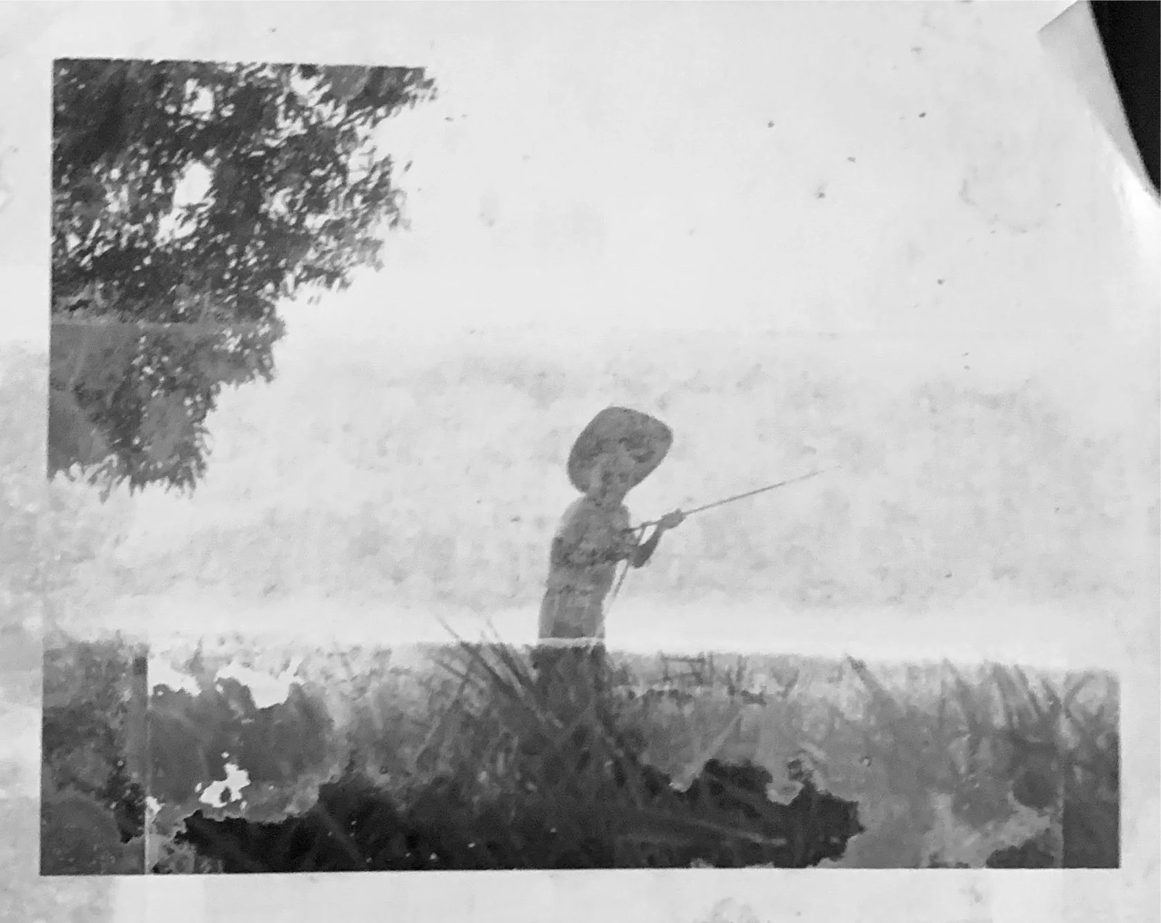 The Almond Trees, Derek Walcott