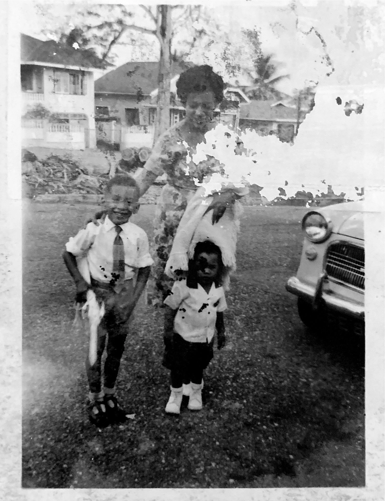 Family Pictures, Mervyn Morris