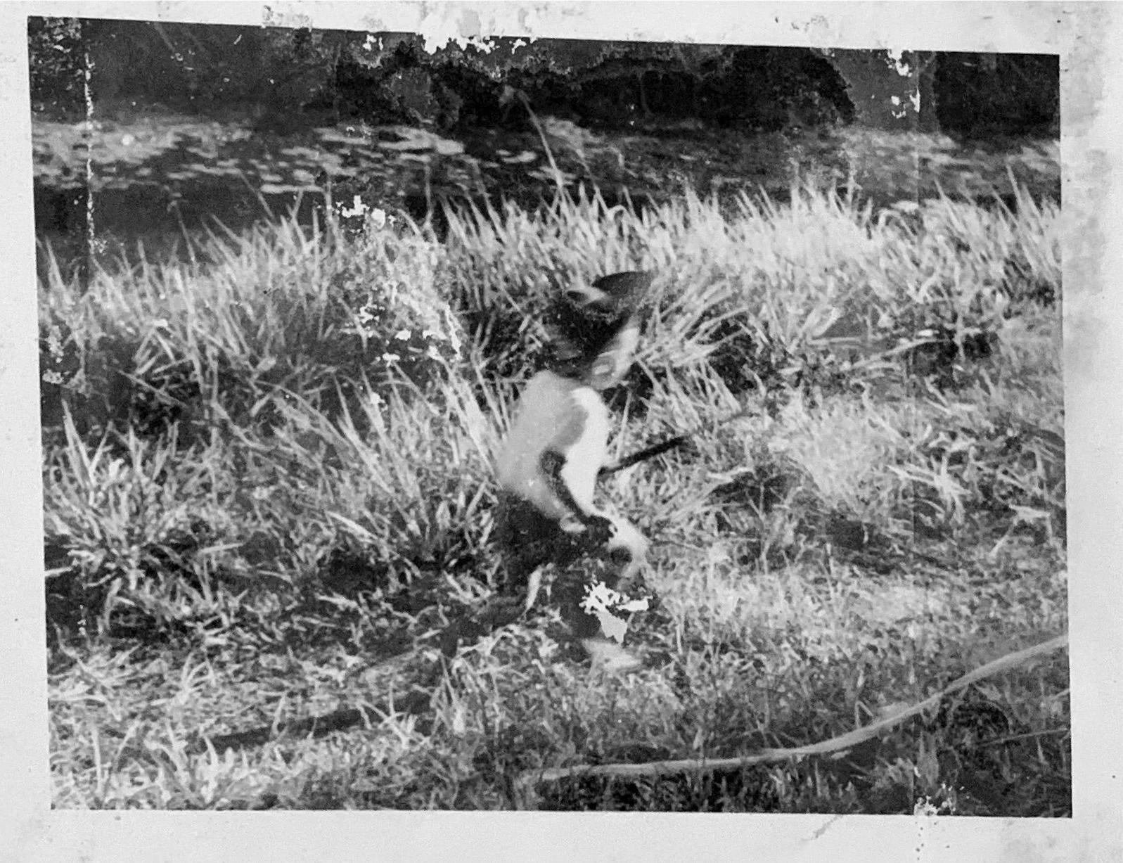 Fruit, of the Earth, Cyril Dabydeen