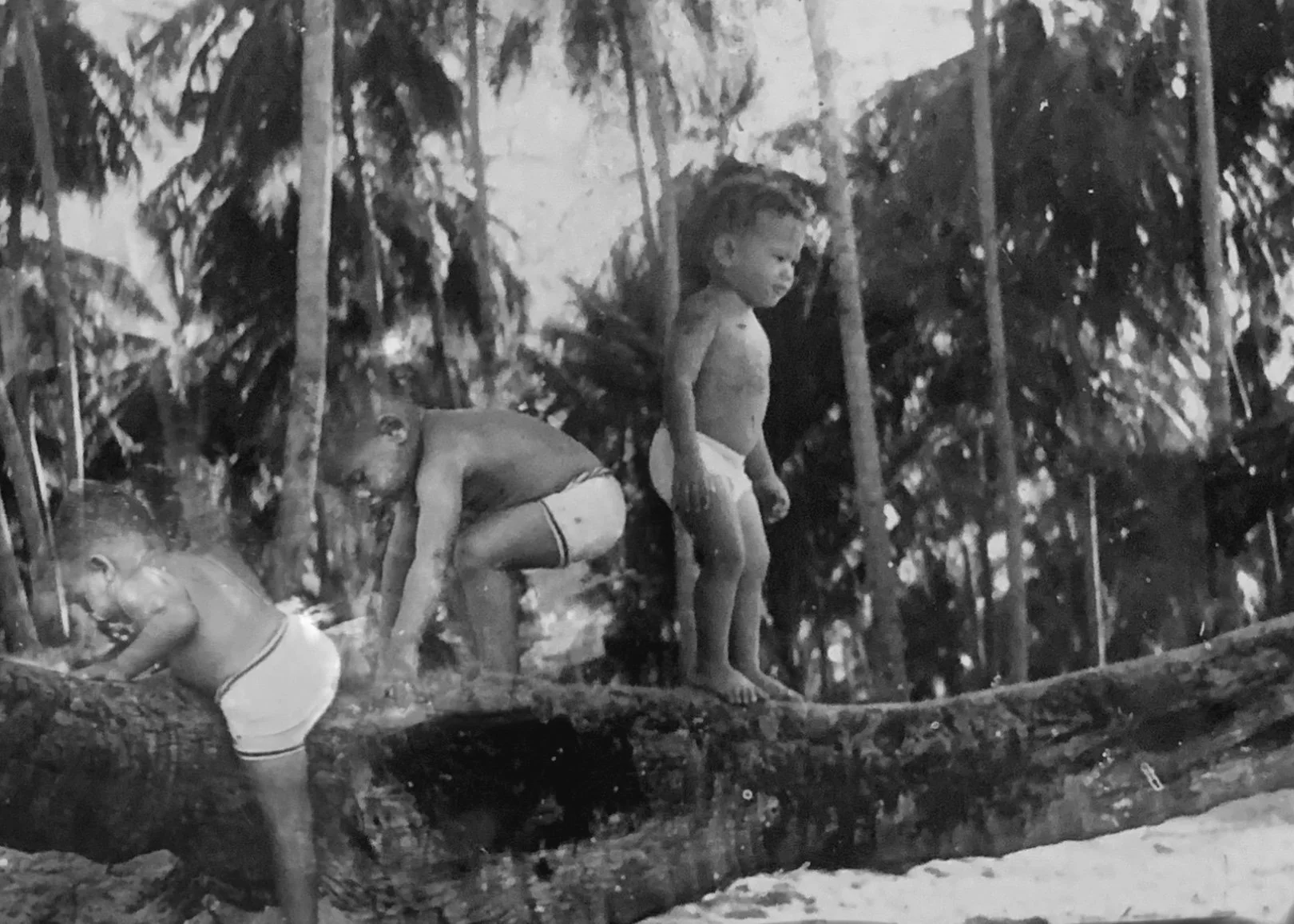 At Home The Green Remains, John Figueroa. p.184