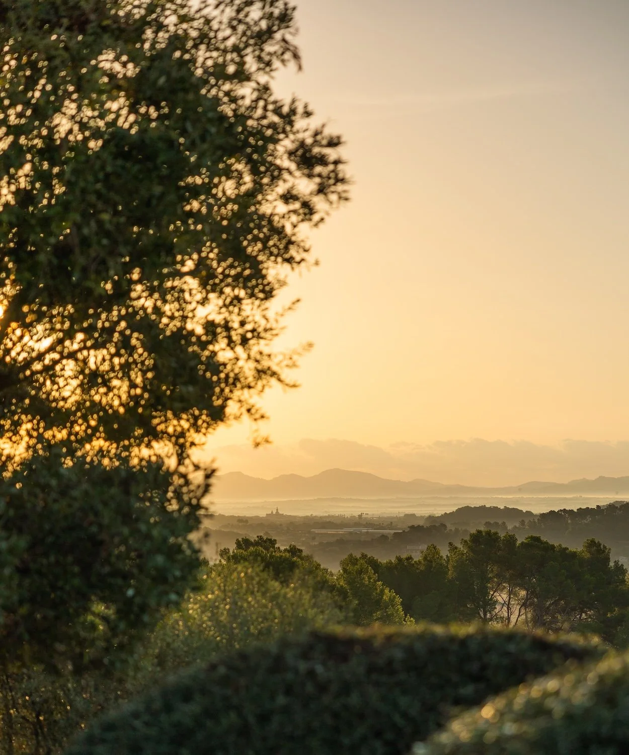 View of the island Mallorca at sunset