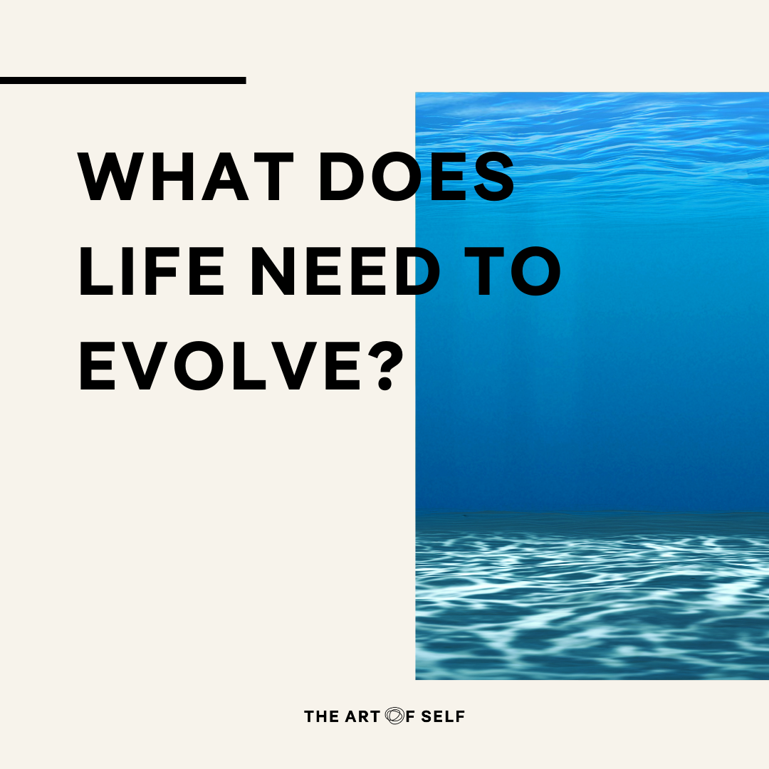 What does life need to evolve? Asking new questions for a regenerative future