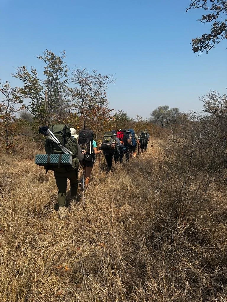Walking into the wild: Courage, connection, and encountering lions in the South African wilderness