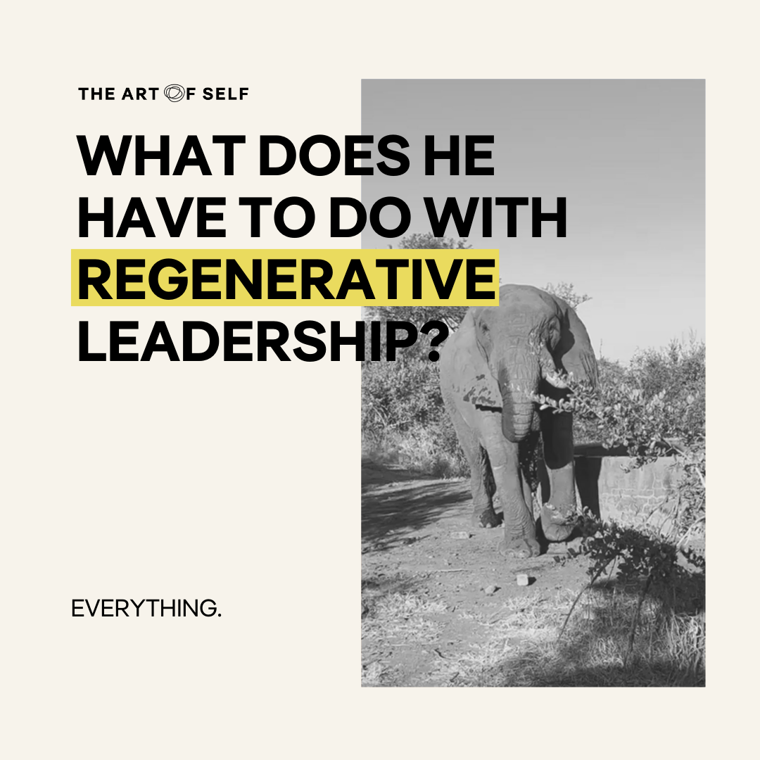 Regenerative Leadership: Lessons from nature 🌱